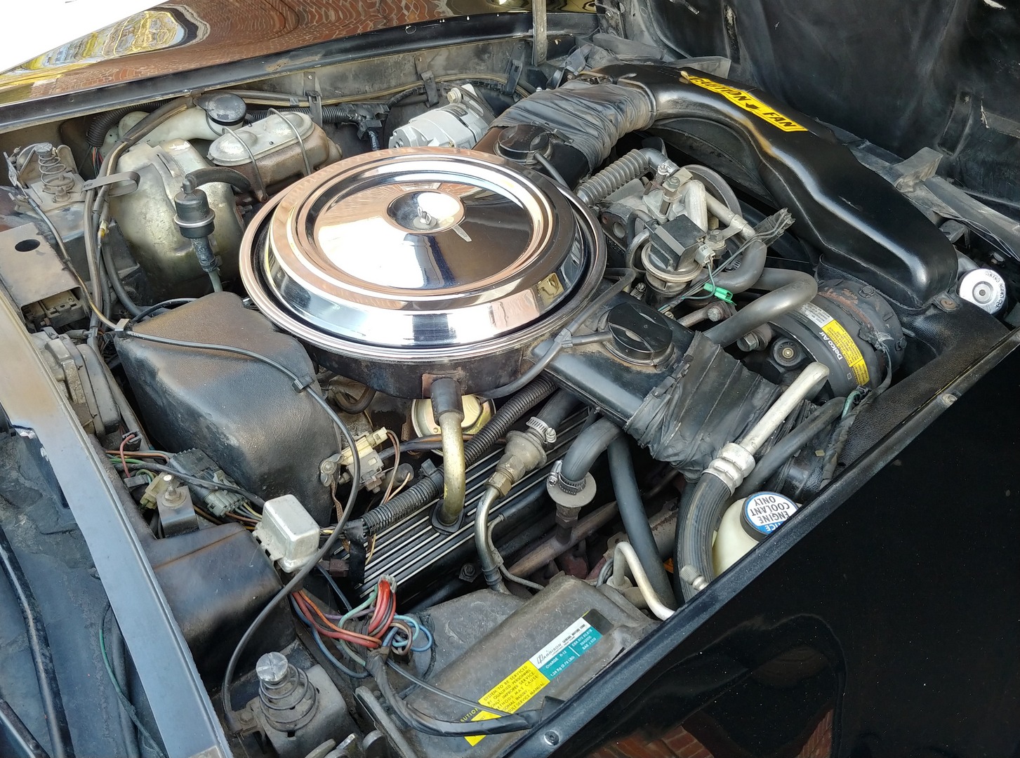 Used 1981 Chevrolet Corvette Survivor Car | Mundelein, IL