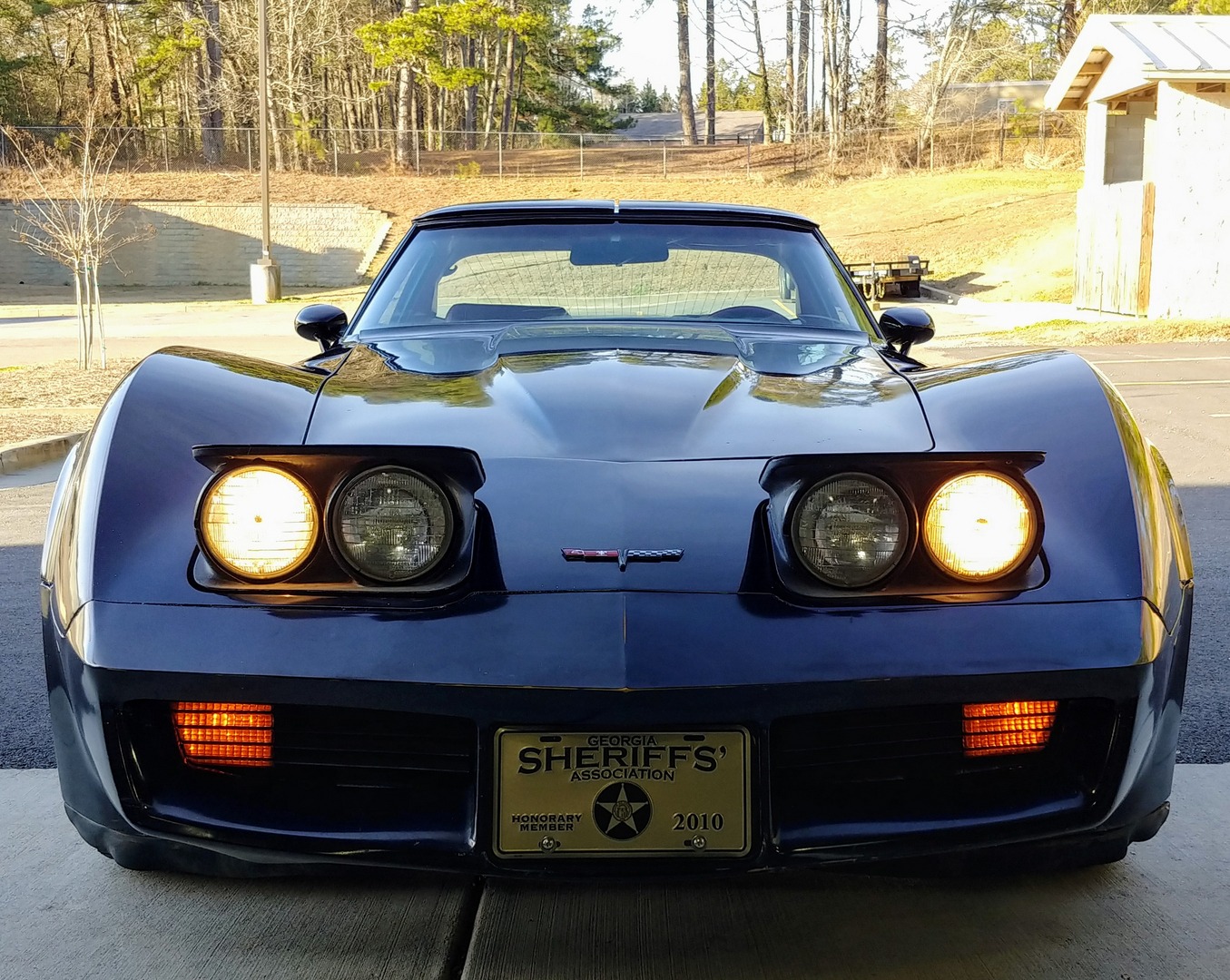 Used 1981 Chevrolet Corvette Survivor Car | Mundelein, IL