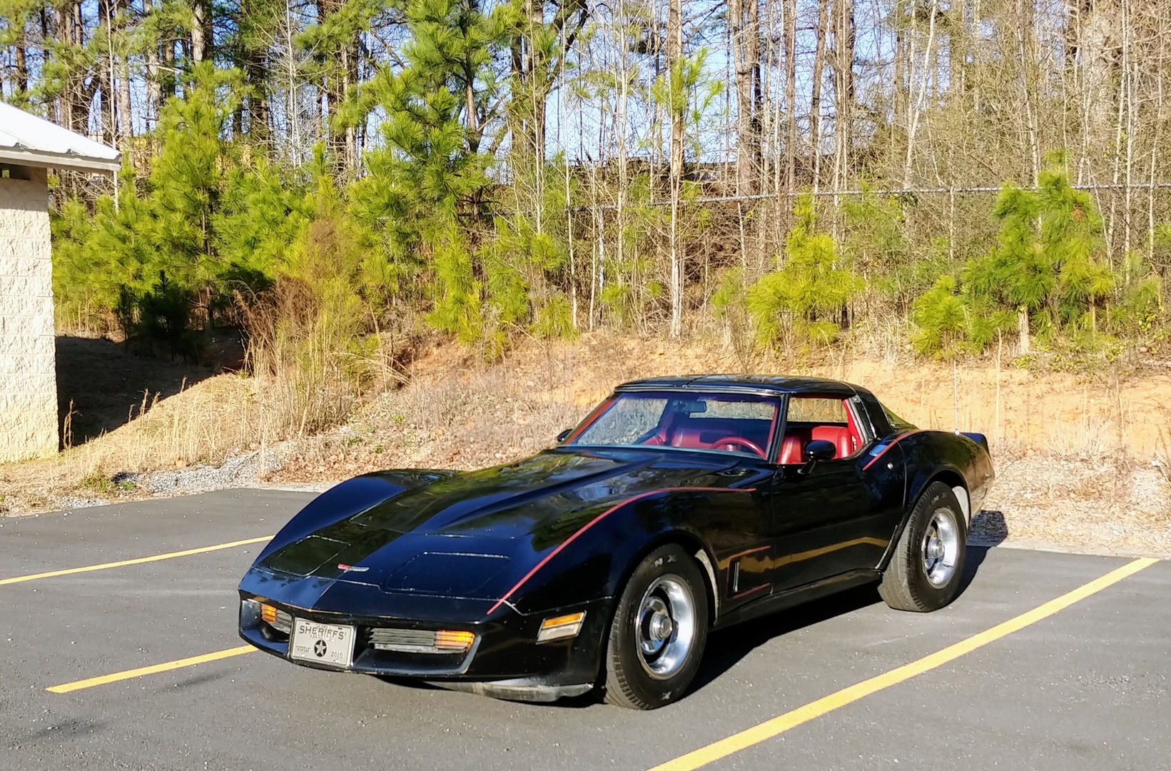 Used 1981 Chevrolet Corvette Survivor Car | Mundelein, IL