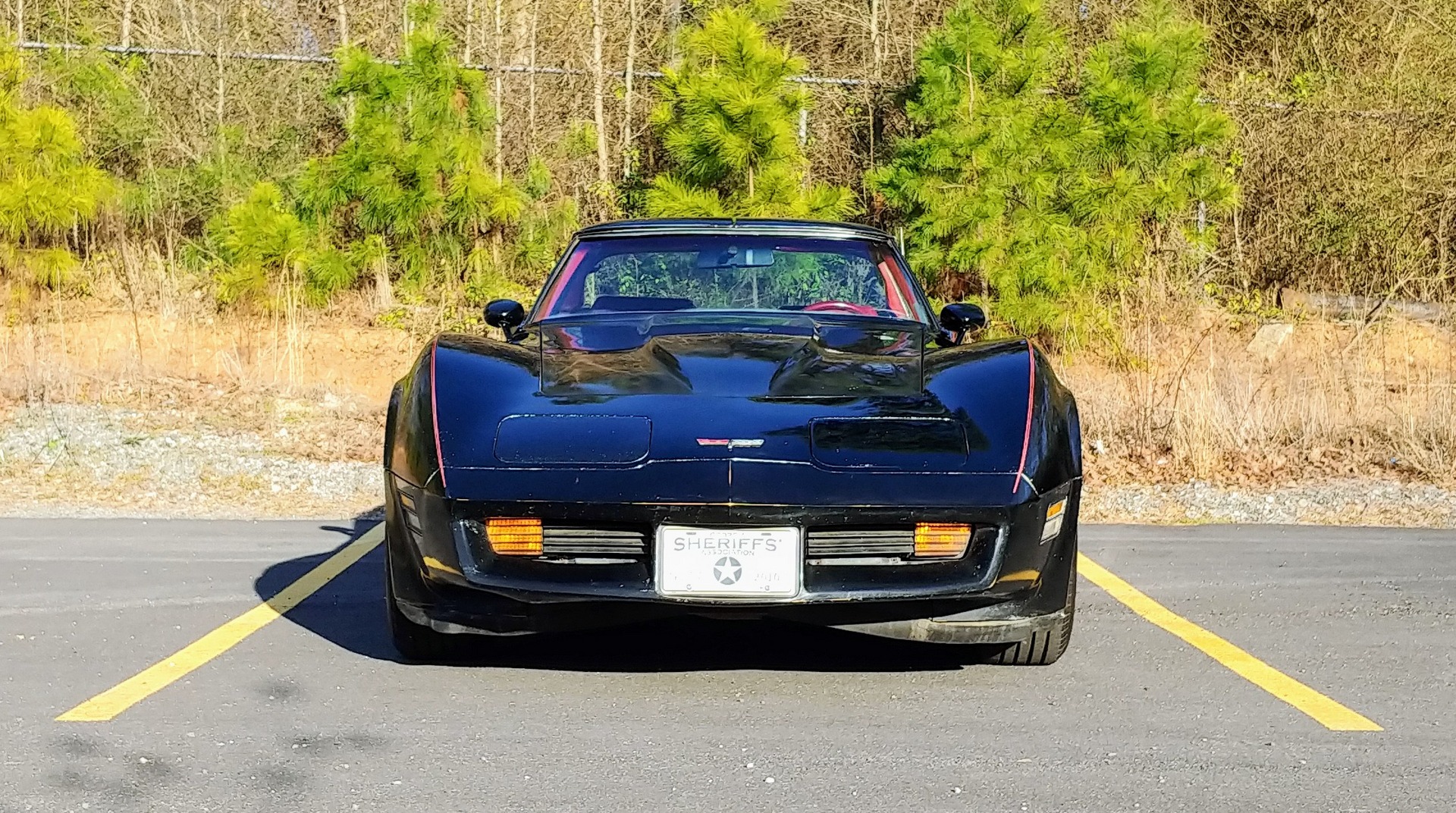 Used 1981 Chevrolet Corvette Survivor Car | Mundelein, IL