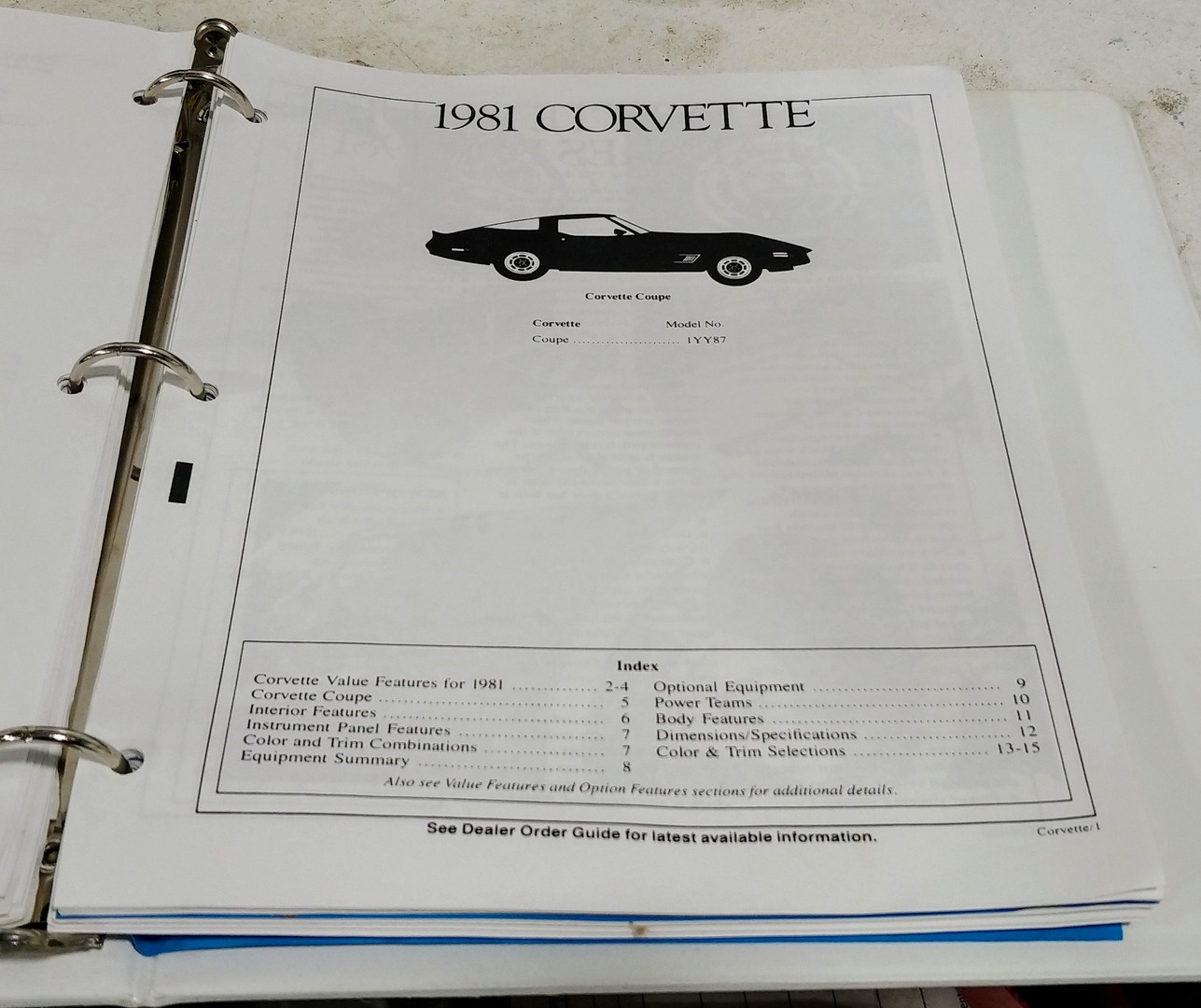 Used 1981 Chevrolet Corvette Survivor Car | Mundelein, IL
