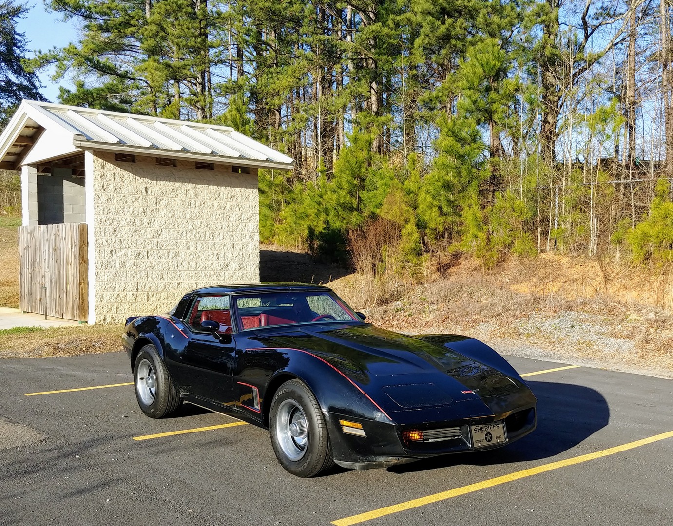 Used 1981 Chevrolet Corvette Survivor Car | Mundelein, IL