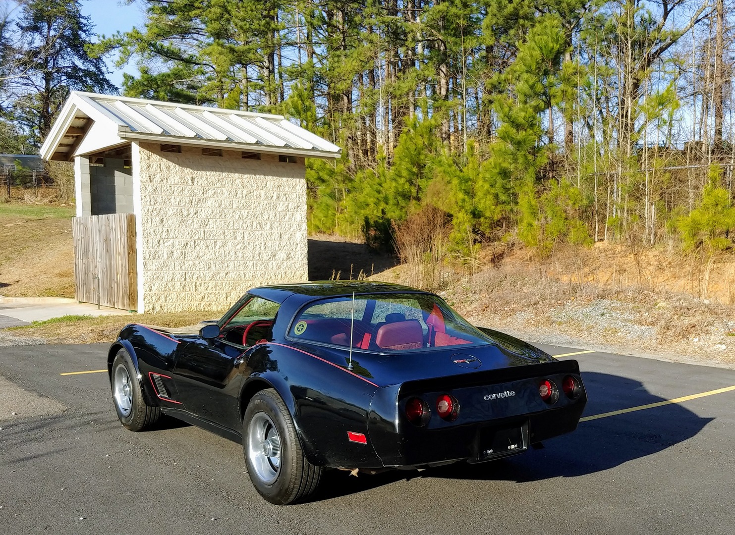Used 1981 Chevrolet Corvette Survivor Car | Mundelein, IL