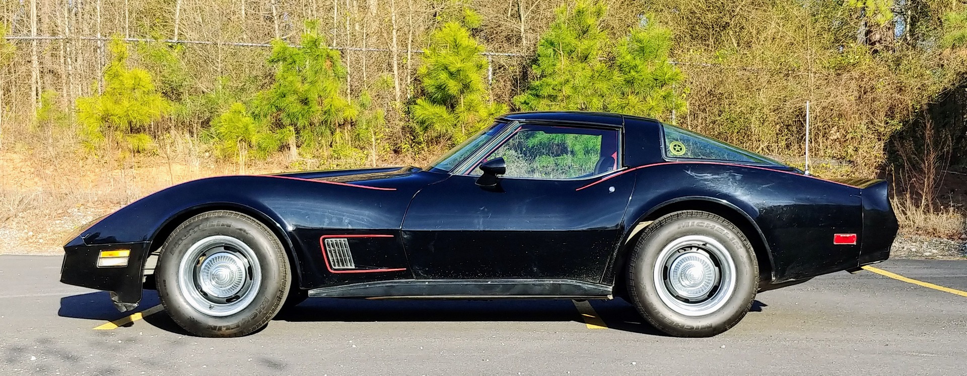 Used 1981 Chevrolet Corvette Survivor Car | Mundelein, IL