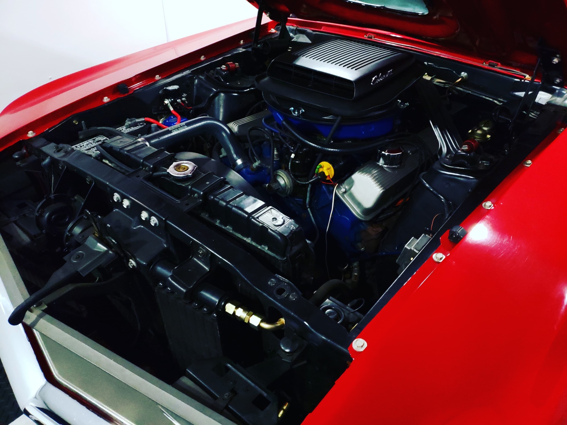 Used 1970 Ford Mustang - MACH 1 - 428 SUPER COBRA JET - | Mundelein, IL