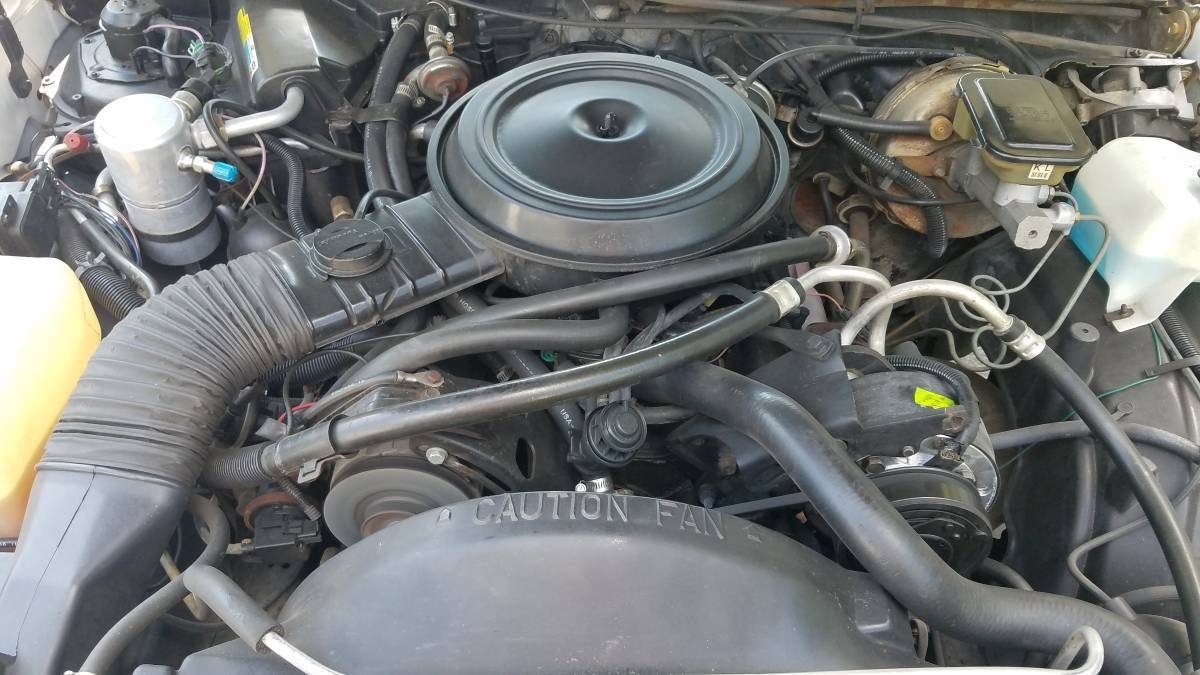 Used 1984 Chevrolet Monte Carlo SS White Beauty | St. Petersburg, FL