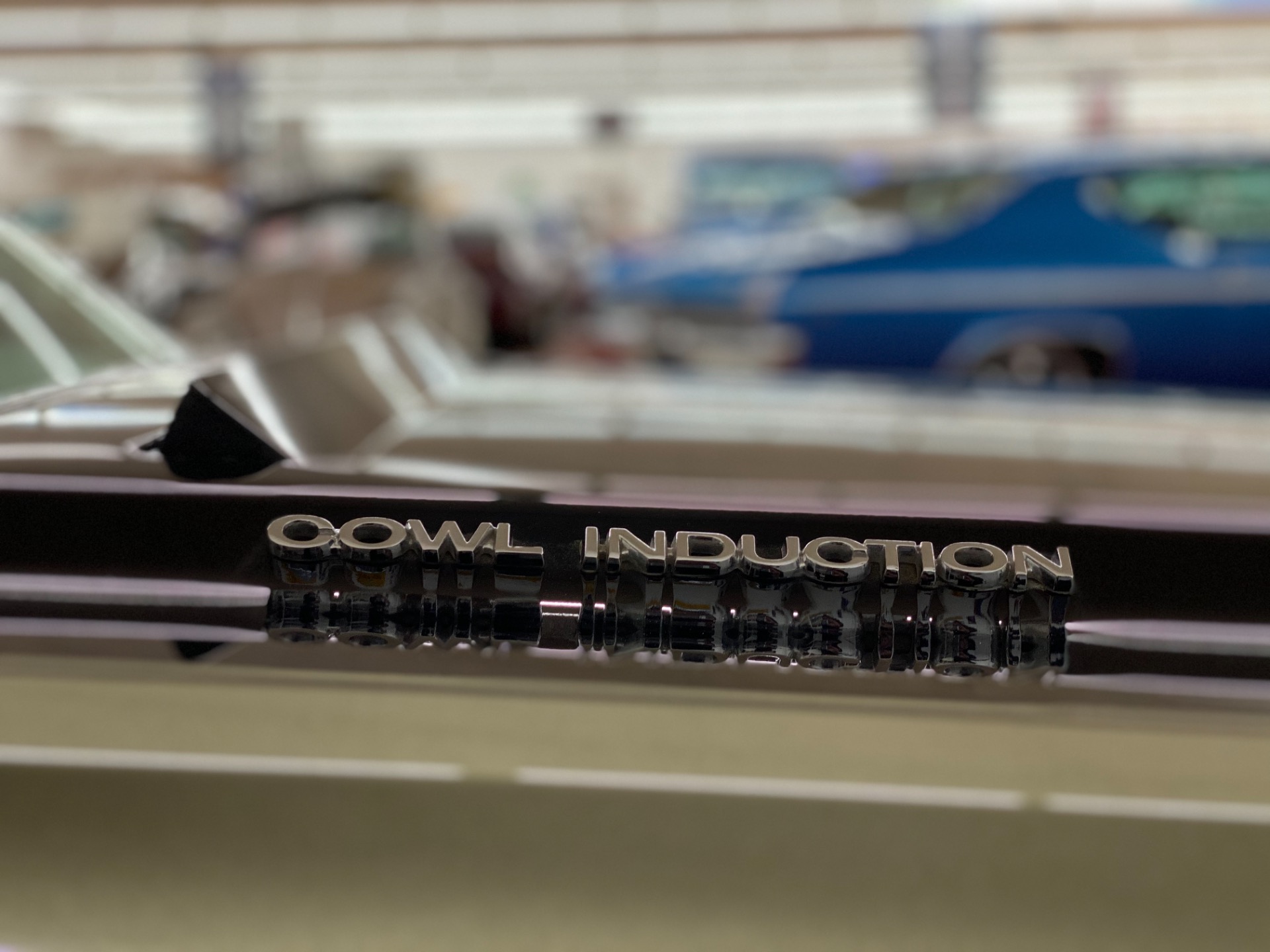 Used 1970 Chevrolet Chevelle - 540 BIG BLOCK - 6 SPEED TRANS - PRO TOURING BUILD - SEE VIDEO | St. Petersburg, FL