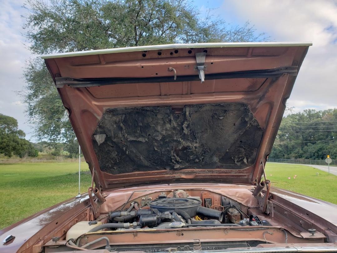 Used 1967 Dodge Coronet V8 | St. Petersburg, FL