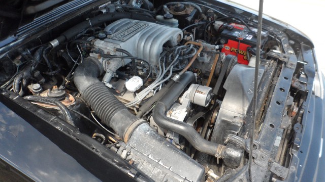 Used 1988 Ford Mustang GT--New Lower price-SEE VIDEO | Mundelein, IL