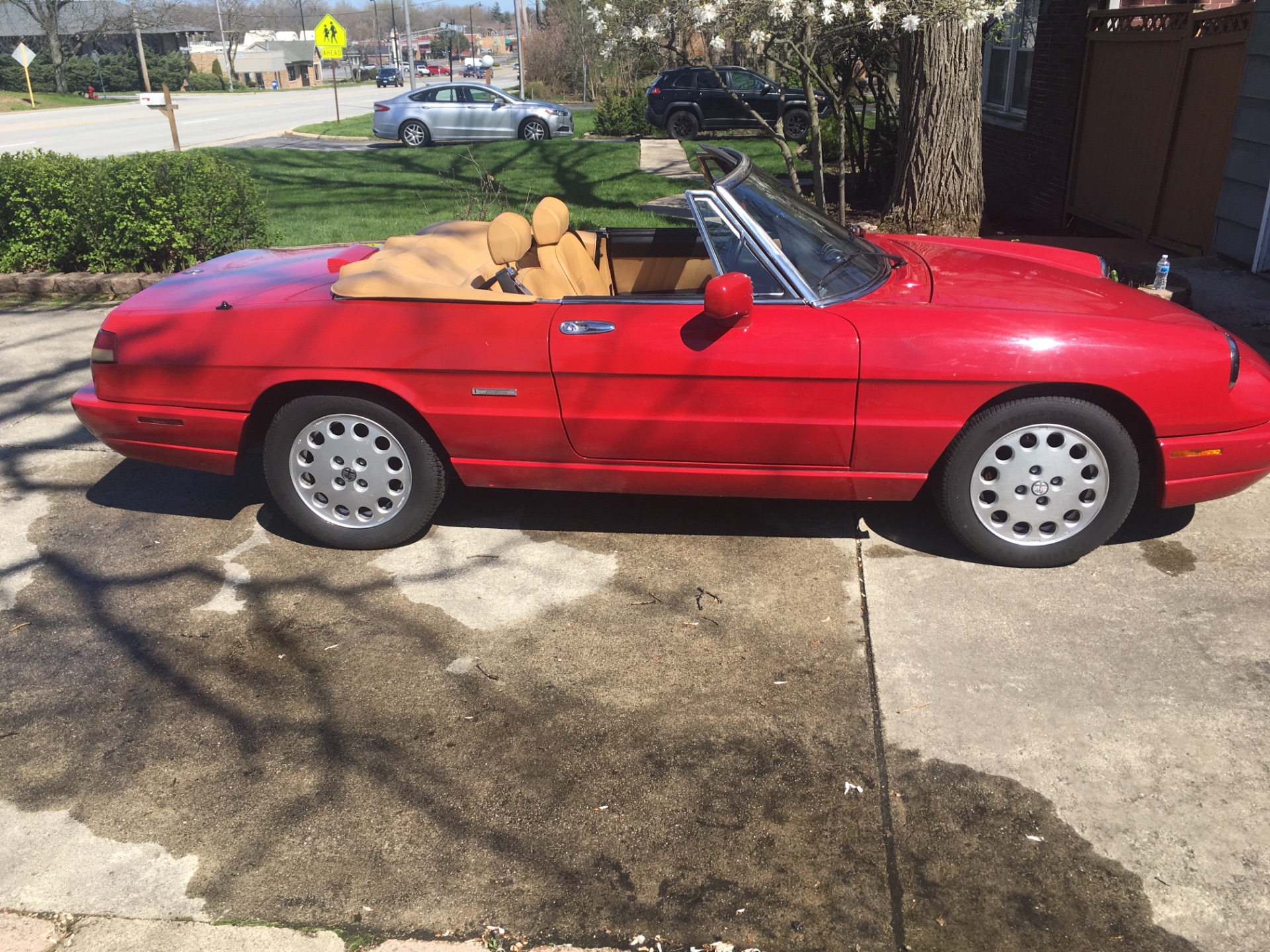 Used 1991 Alfa Romeo Spider Veloce | St. Petersburg, FL