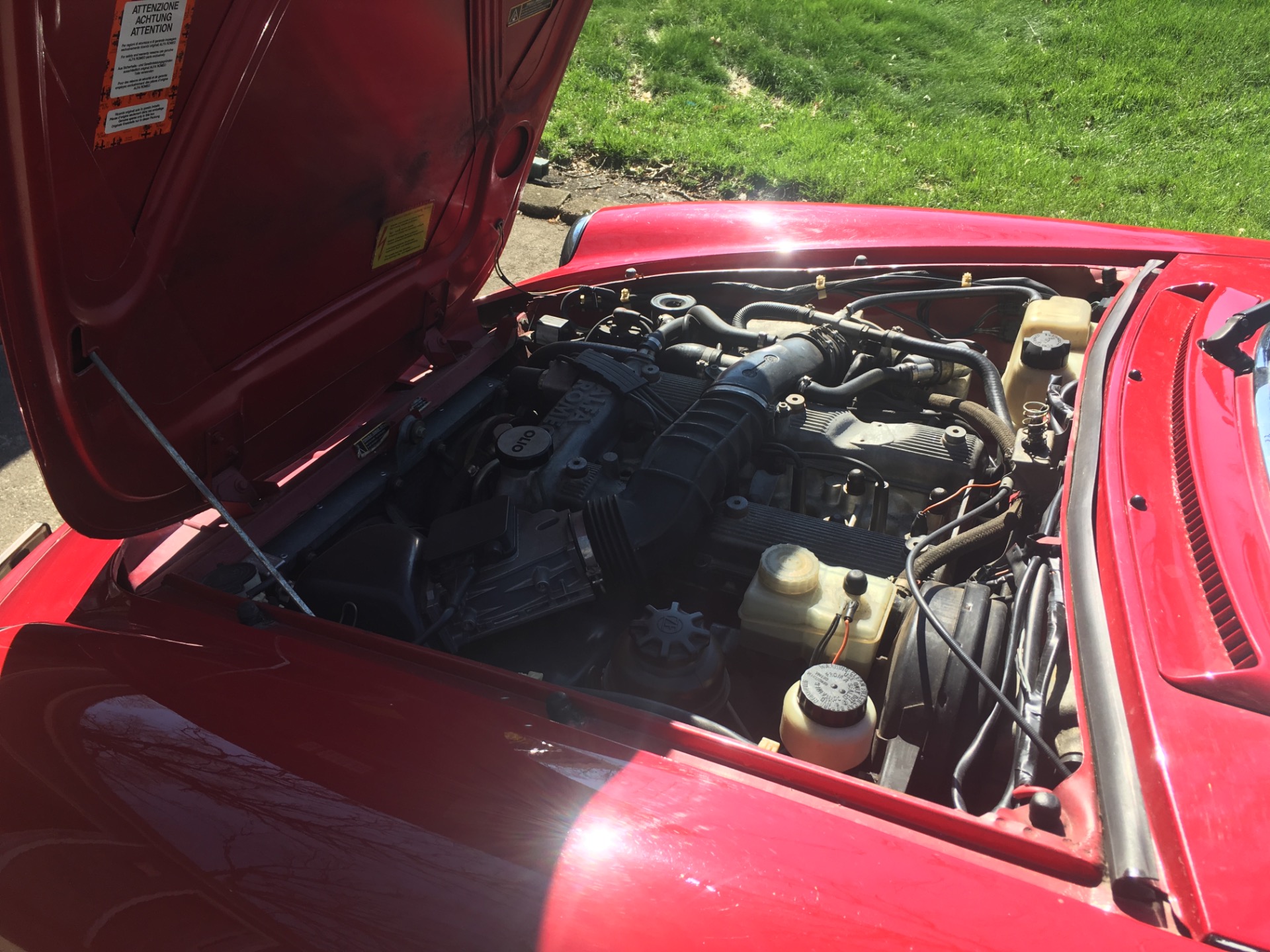 Used 1991 Alfa Romeo Spider Veloce | St. Petersburg, FL