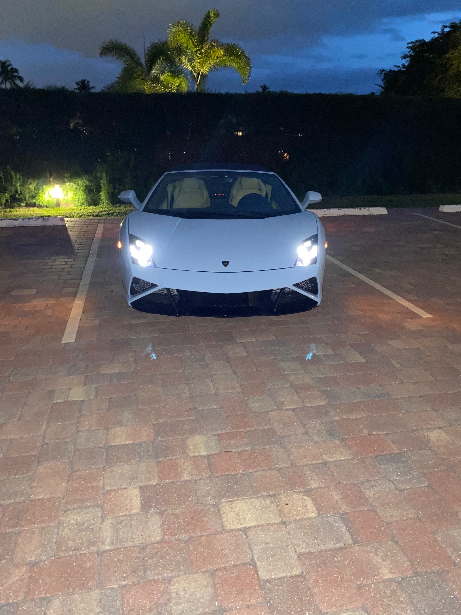 Used 2014 Lamborghini Gallardo LP 560-4 Spyder | St. Petersburg, FL