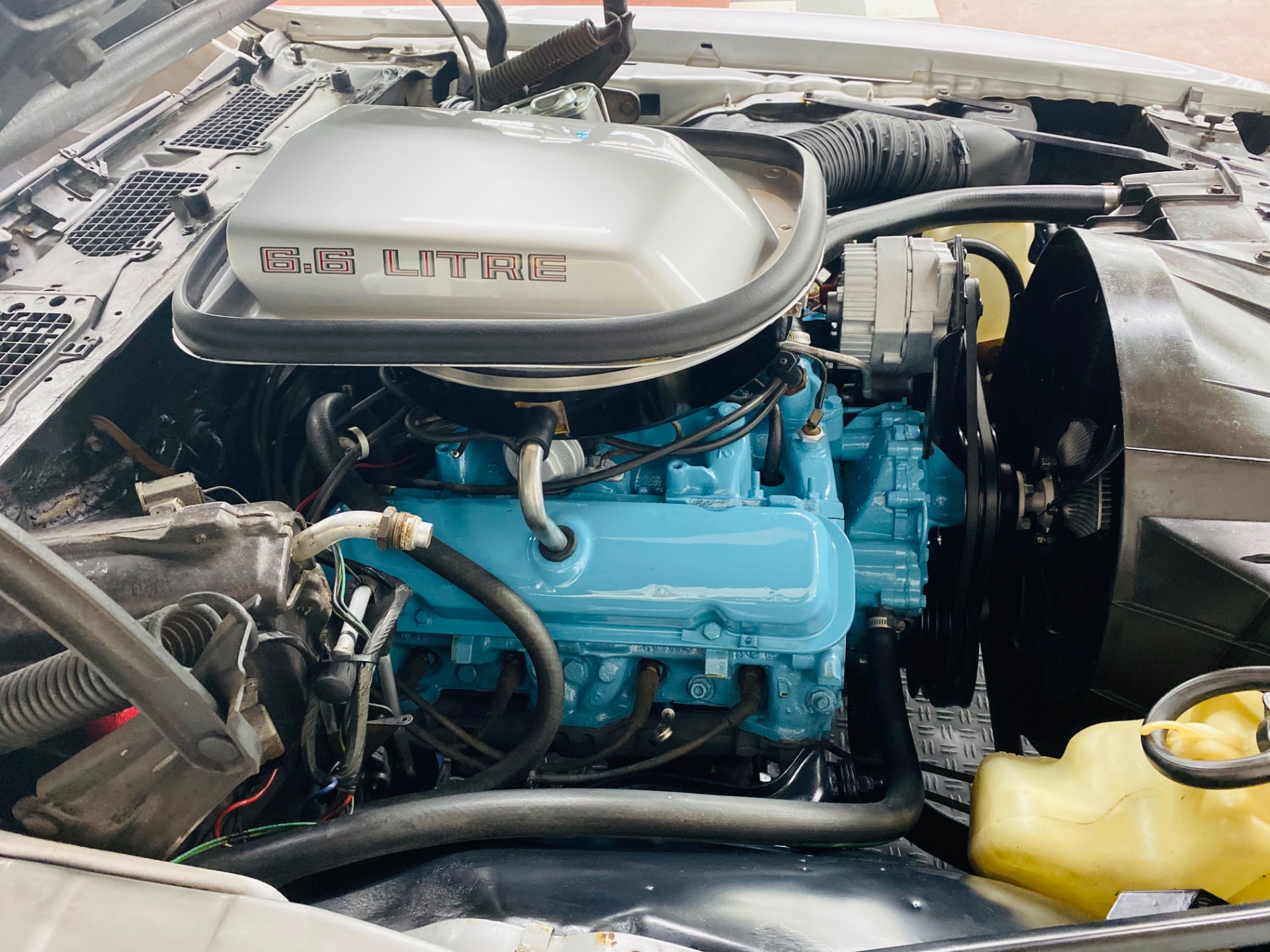 Used 1977 PONTIAC FIREBIRD TRANS AM - SEE VIDEO | St. Petersburg, FL