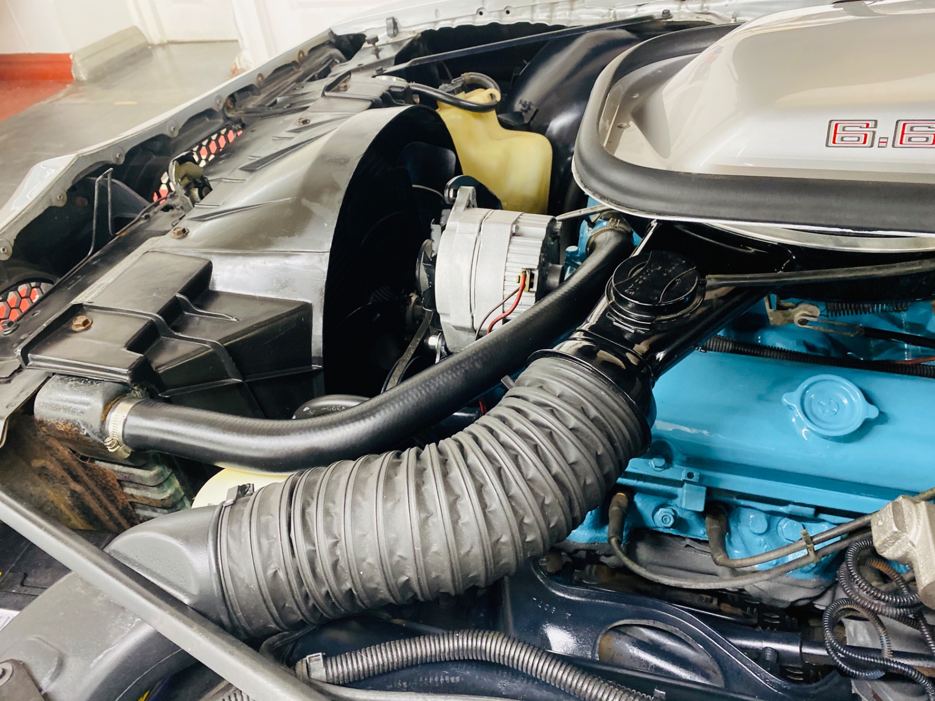 Used 1977 PONTIAC FIREBIRD TRANS AM - SEE VIDEO | St. Petersburg, FL