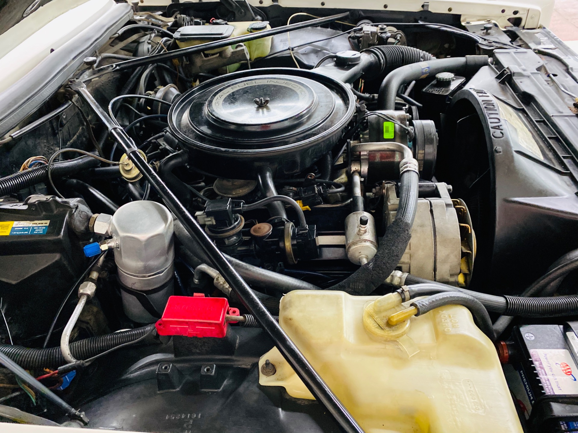 Used 1984 Cadillac Eldorado Biarritz - SEE VIDEO - | St. Petersburg, FL
