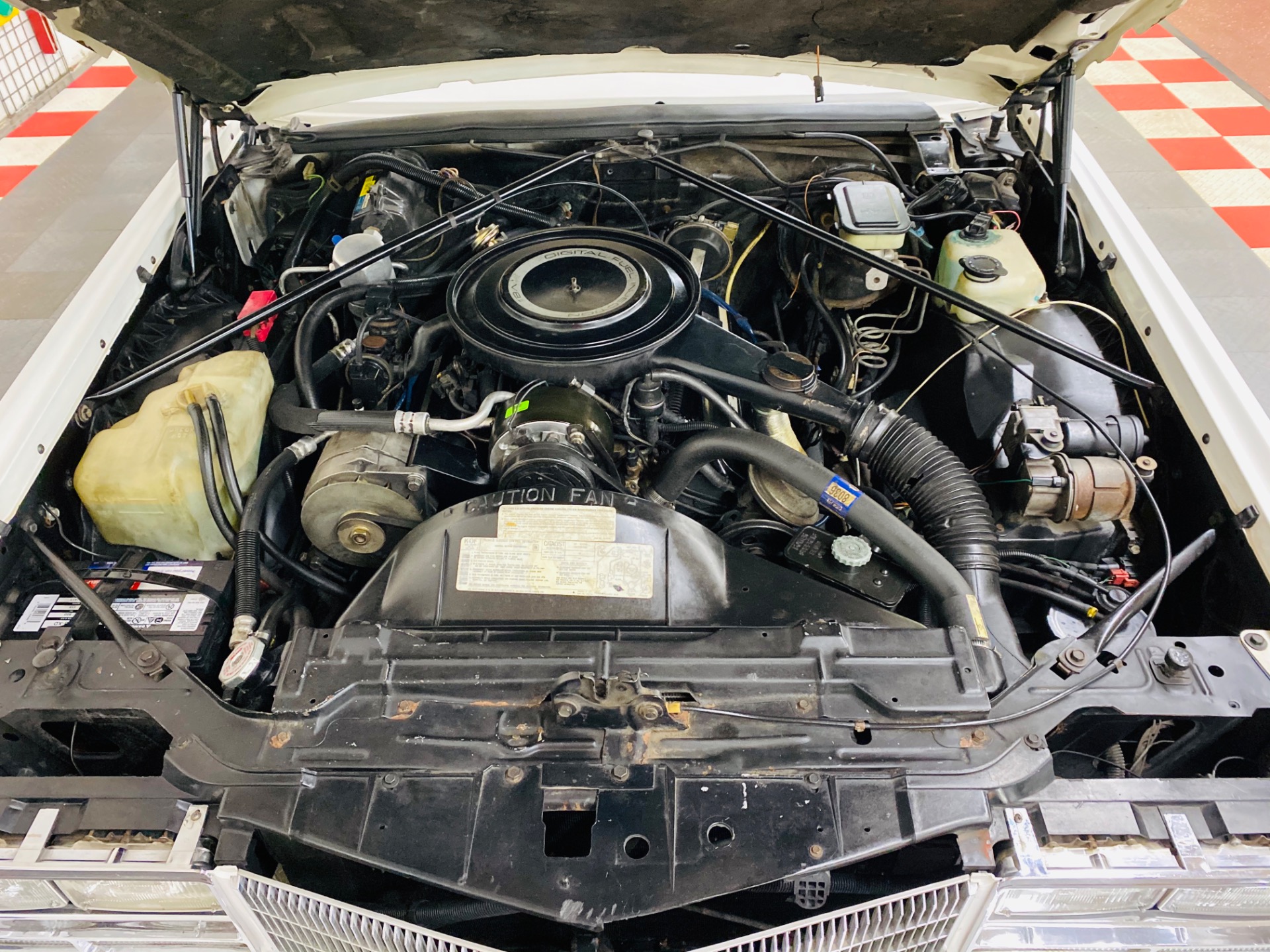 Used 1984 Cadillac Eldorado Biarritz - SEE VIDEO - | St. Petersburg, FL