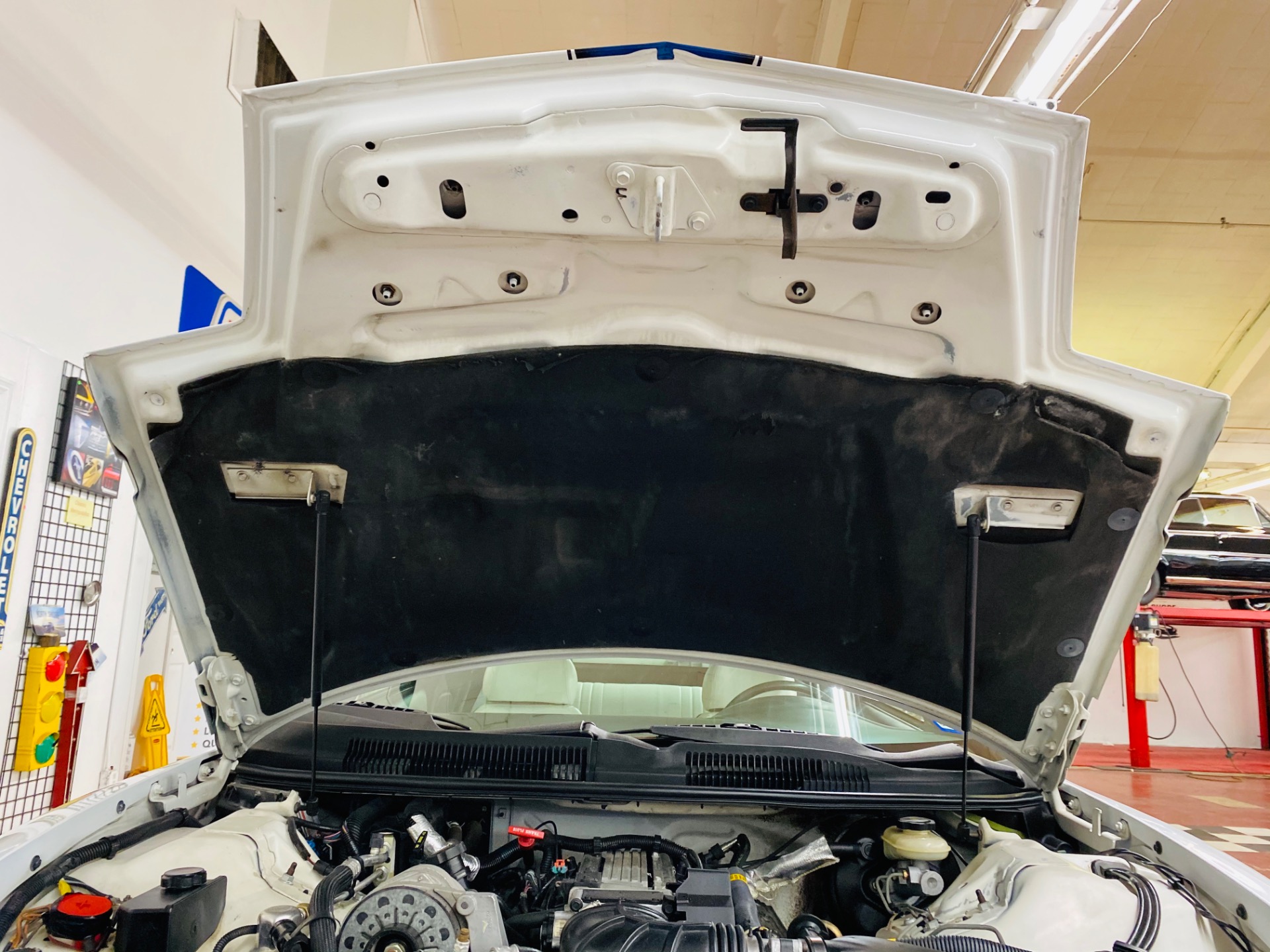 Used 1994 Pontiac Firebird -Trans Am 25th Anniversary - RARE T TOPS - SEE VIDEO - | St. Petersburg, FL
