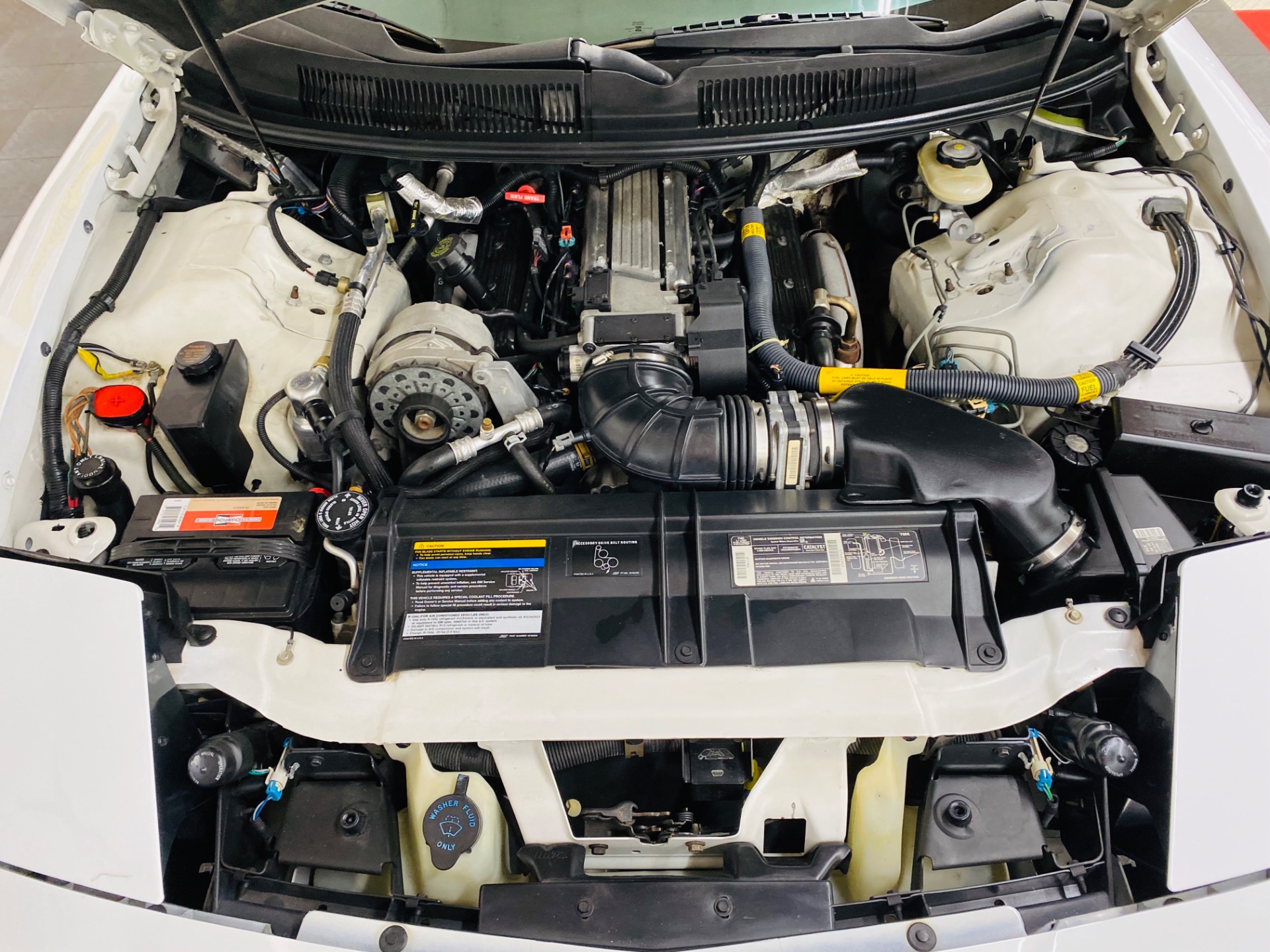 Used 1994 Pontiac Firebird -Trans Am 25th Anniversary - RARE T TOPS - SEE VIDEO - | St. Petersburg, FL