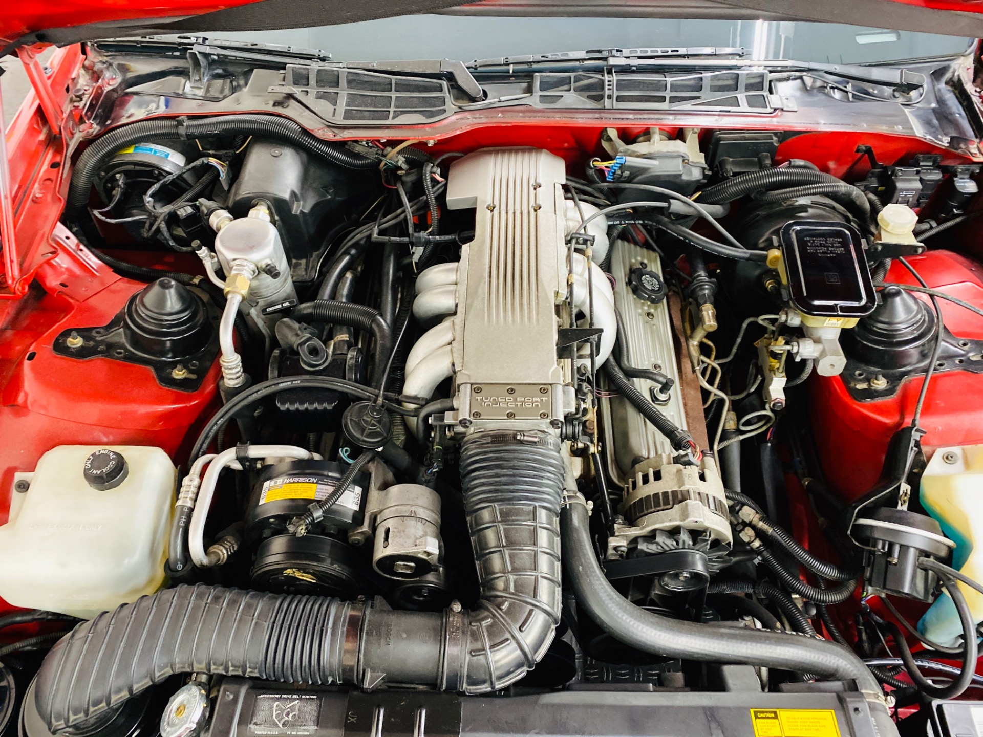 Used 1988 Pontiac Firebird Formula - SEE VIDEO - | St. Petersburg, FL
