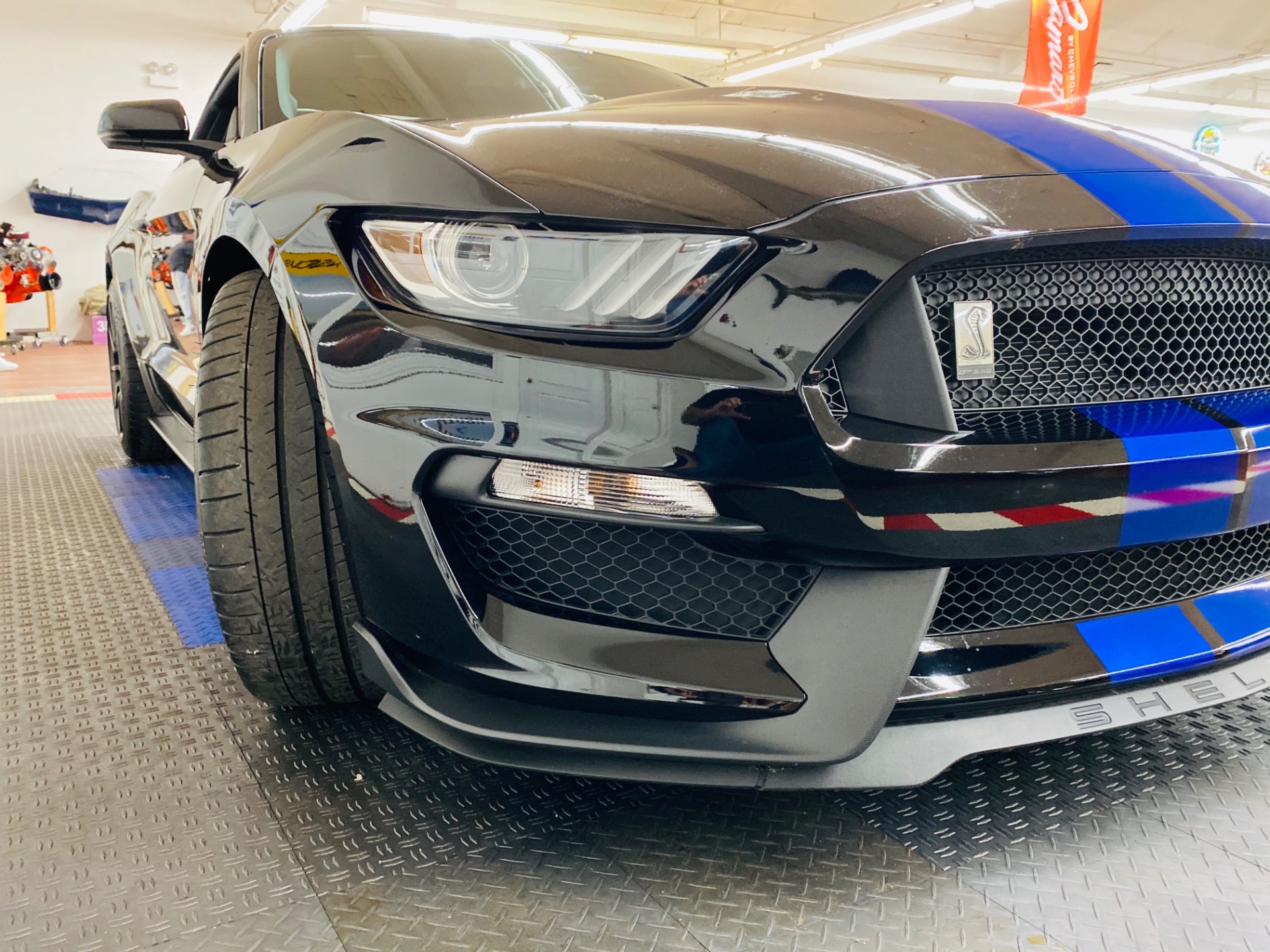Used 2016 Ford Mustang Shelby GT350 | St. Petersburg, FL