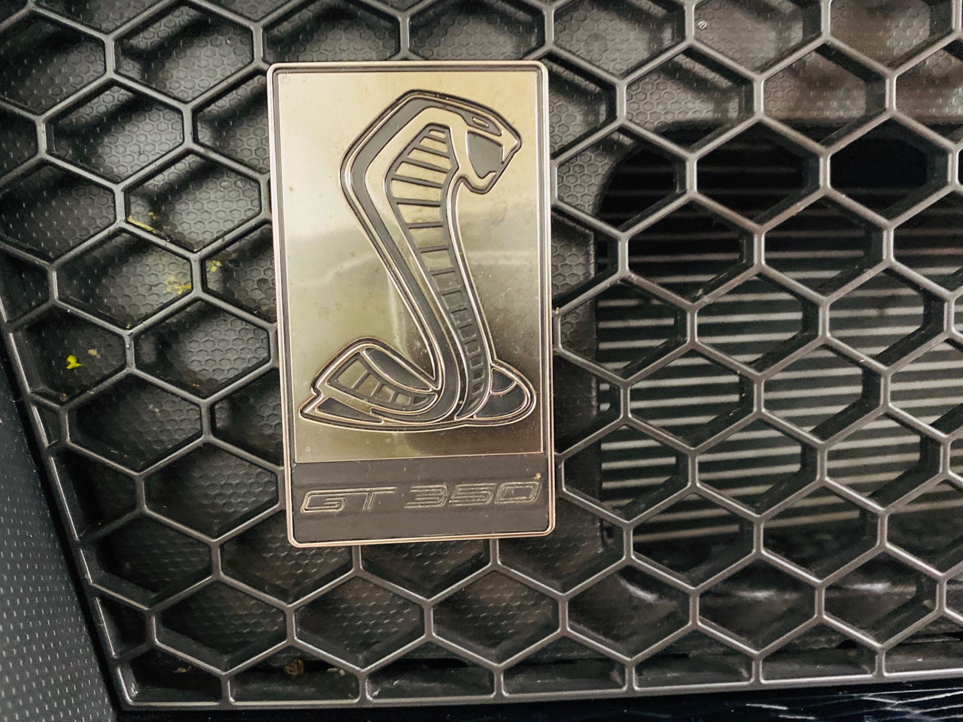 Used 2016 Ford Mustang Shelby GT350 | St. Petersburg, FL