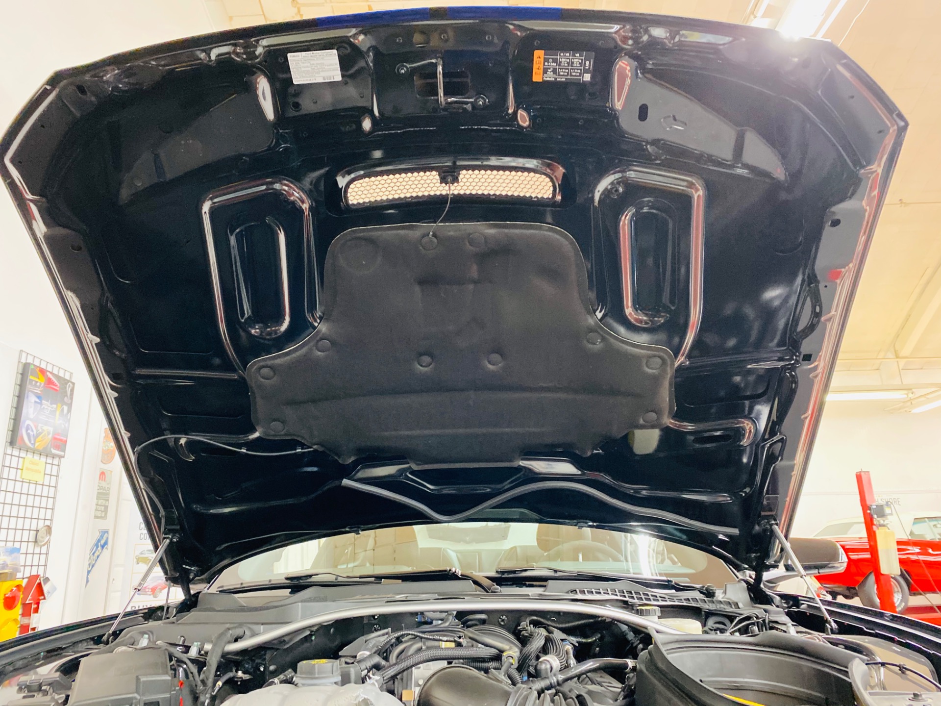 Used 2016 Ford Mustang Shelby GT350 | St. Petersburg, FL