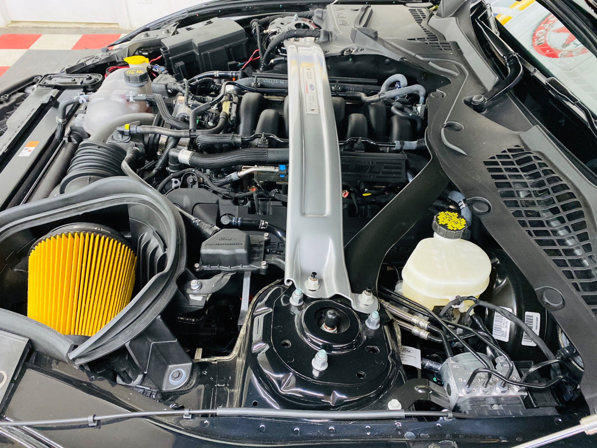 Used 2016 Ford Mustang Shelby GT350 | St. Petersburg, FL