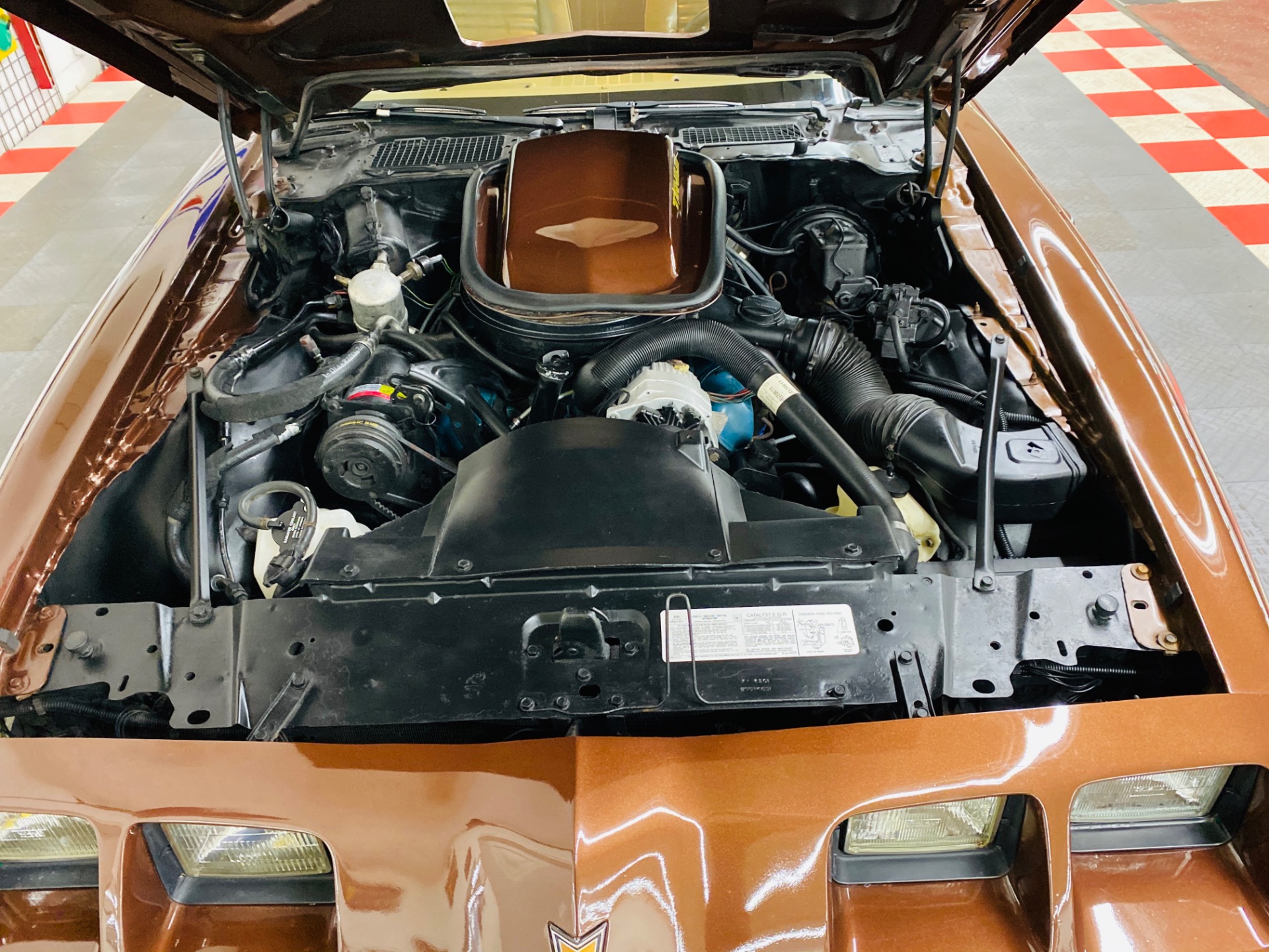 Used 1979 Pontiac Trans Am - 6.6L ENGINE - VERY CLEAN BODY - NICE PAINT - SEE VIDEO | Mundelein, IL