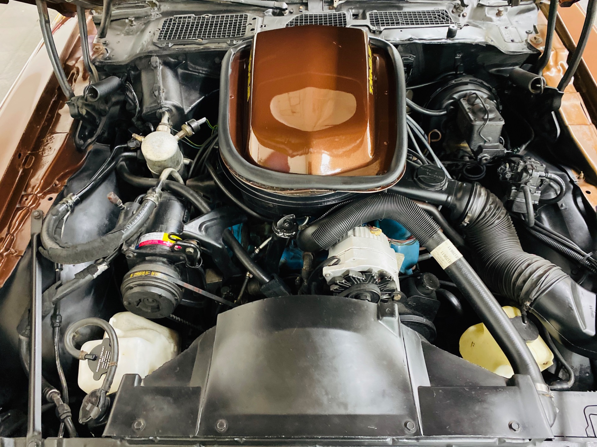Used 1979 Pontiac Trans Am - 6.6L ENGINE - VERY CLEAN BODY - NICE PAINT - SEE VIDEO | Mundelein, IL