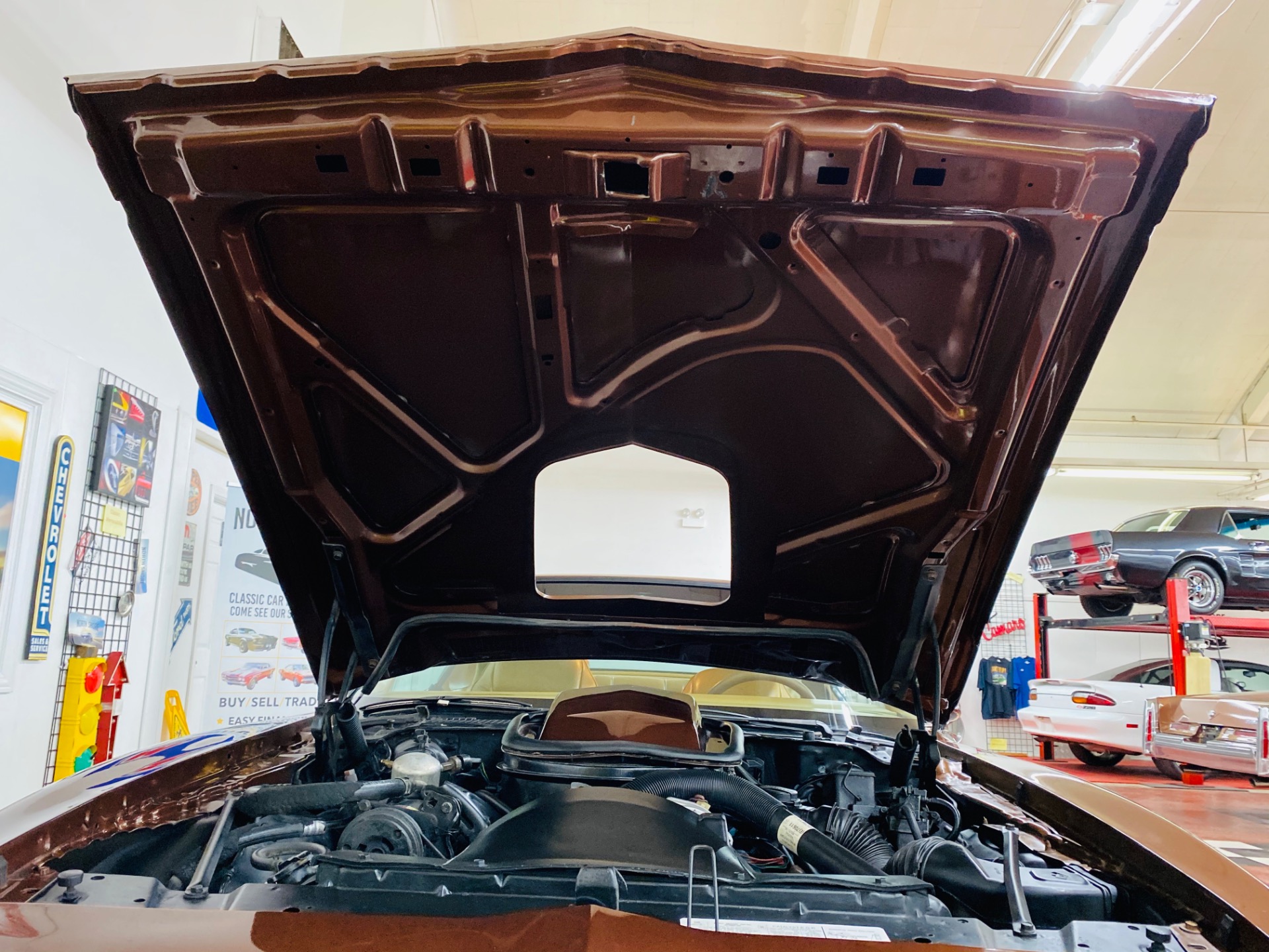 Used 1979 Pontiac Trans Am - 6.6L ENGINE - VERY CLEAN BODY - NICE PAINT - SEE VIDEO | Mundelein, IL