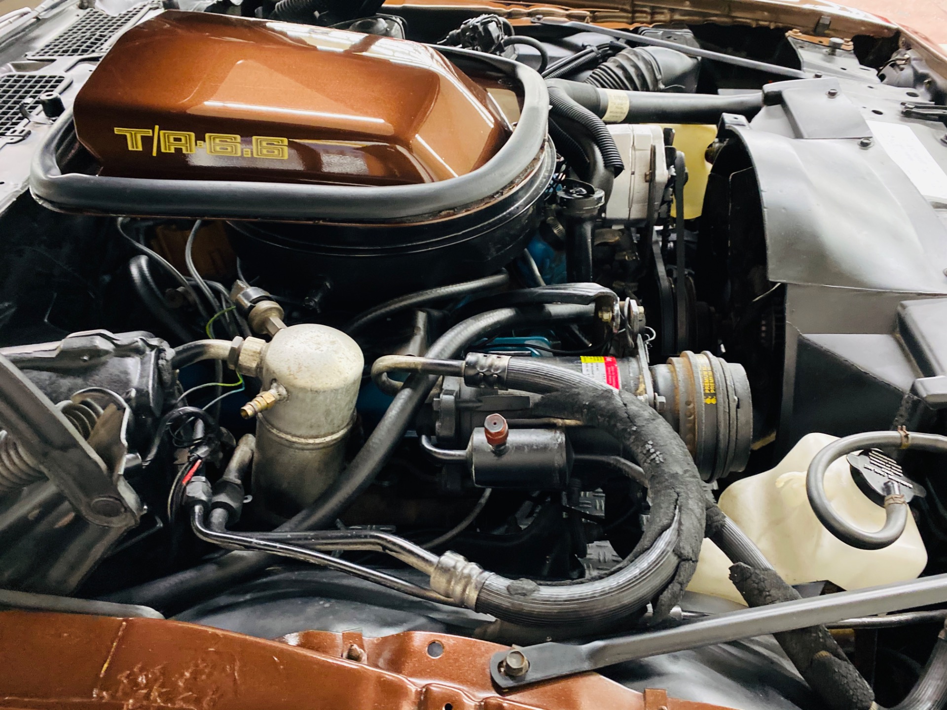 Used 1979 Pontiac Trans Am - 6.6L ENGINE - VERY CLEAN BODY - NICE PAINT - SEE VIDEO | Mundelein, IL