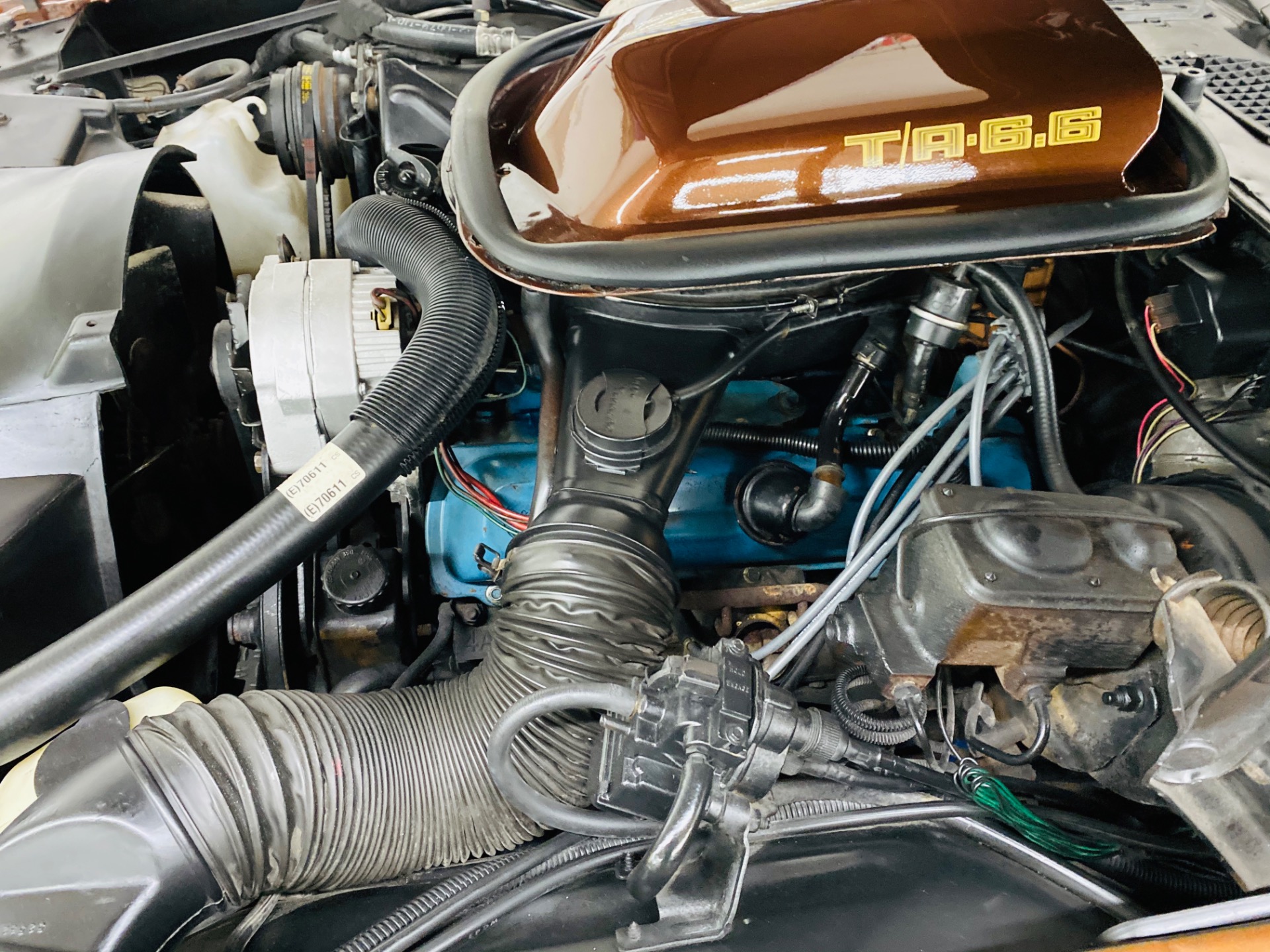 Used 1979 Pontiac Trans Am - 6.6L ENGINE - VERY CLEAN BODY - NICE PAINT - SEE VIDEO | Mundelein, IL