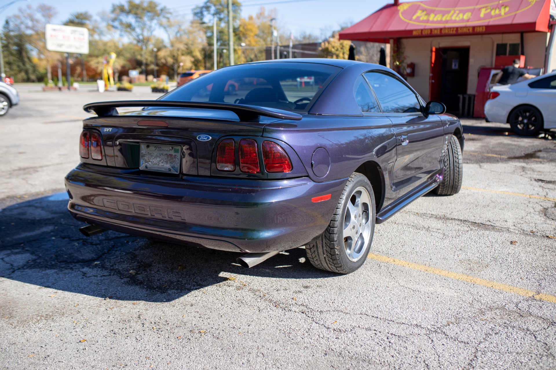 Used 1996 Ford Mustang SVT Cobra | St. Petersburg, FL
