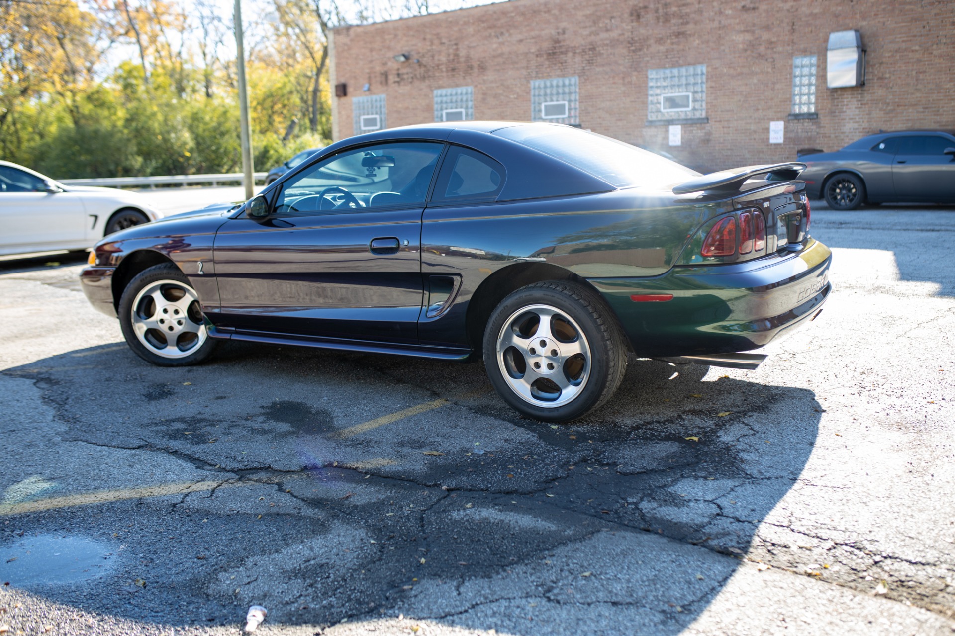 Used 1996 Ford Mustang SVT Cobra | St. Petersburg, FL
