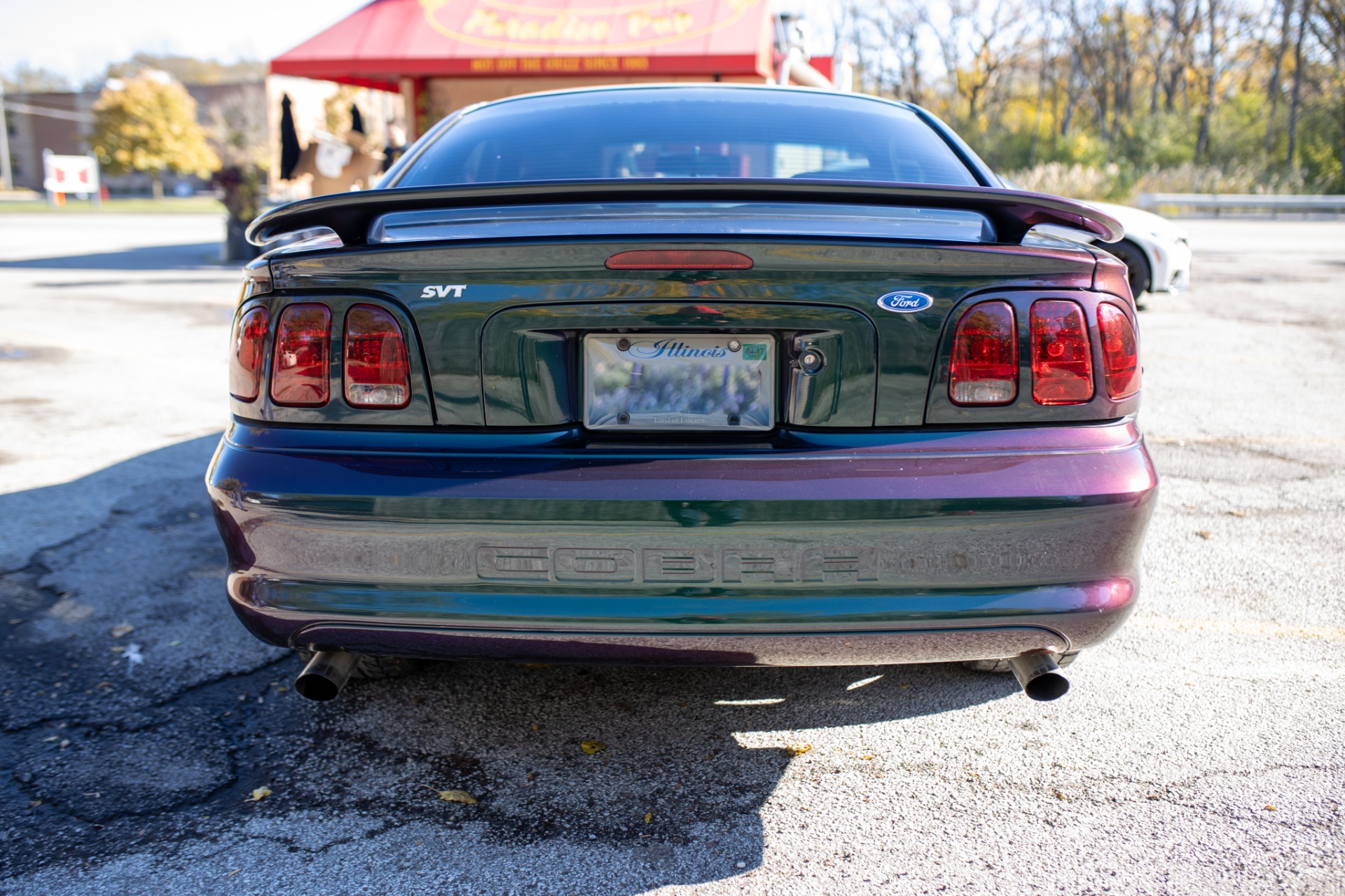 Used 1996 Ford Mustang SVT Cobra | St. Petersburg, FL