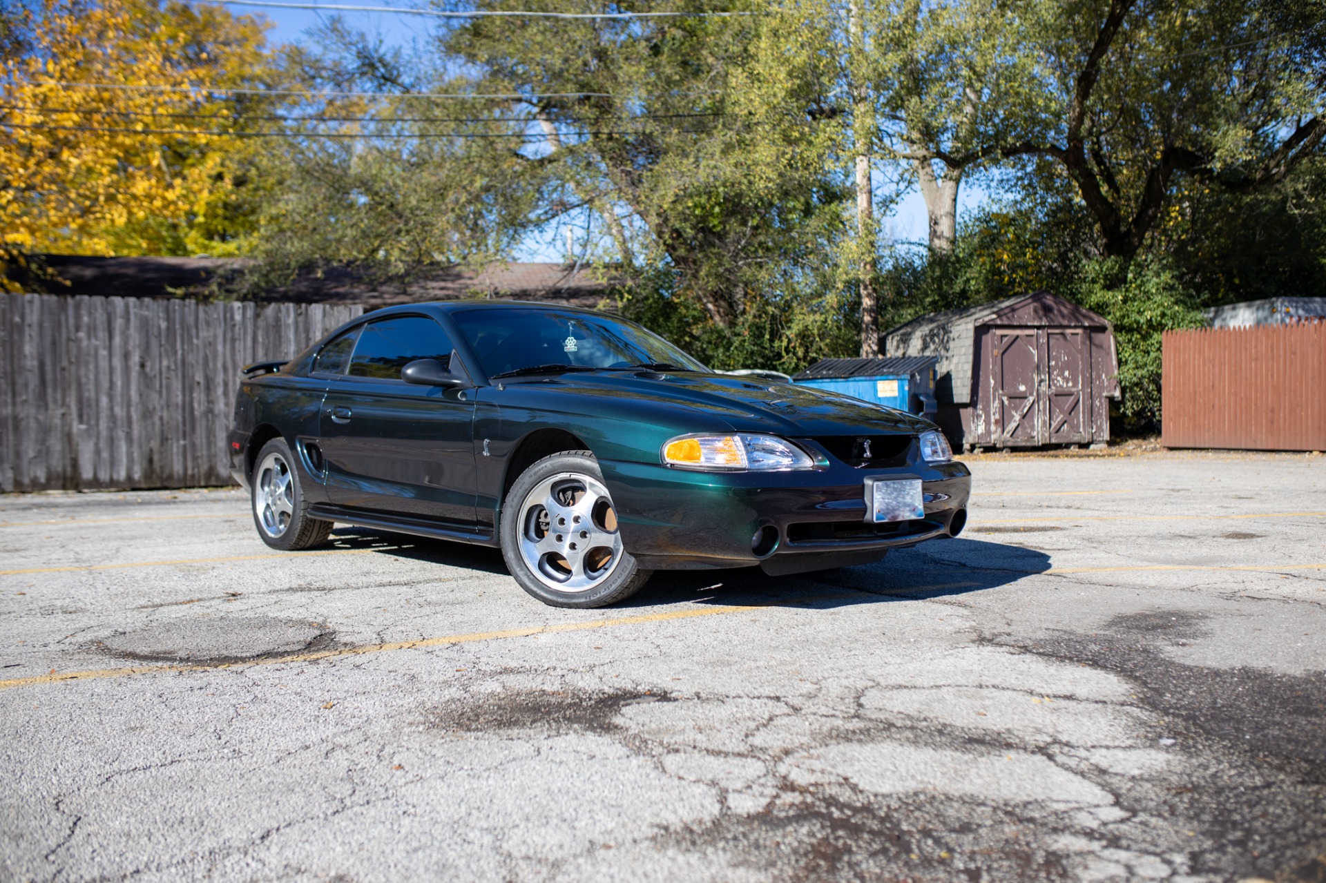 Used 1996 Ford Mustang SVT Cobra | St. Petersburg, FL