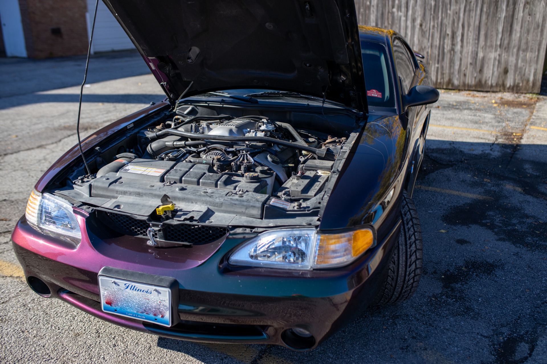 Used 1996 Ford Mustang SVT Cobra | St. Petersburg, FL
