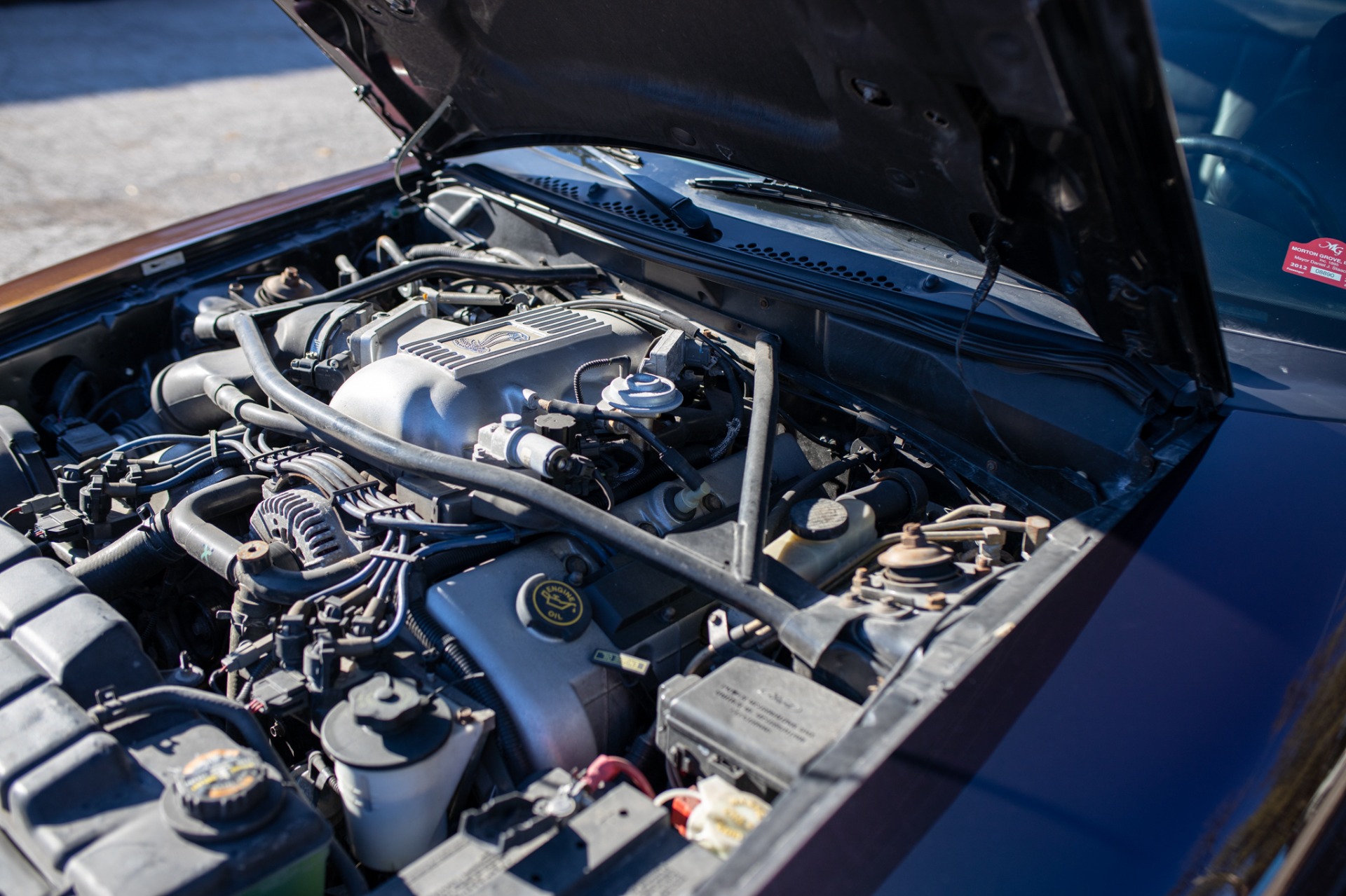 Used 1996 Ford Mustang SVT Cobra | St. Petersburg, FL