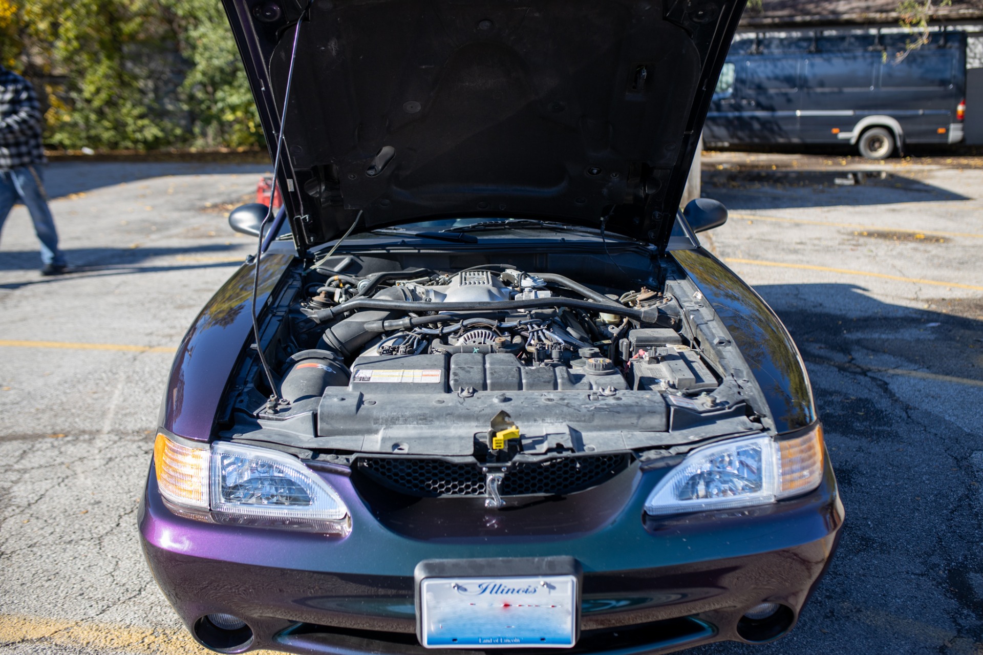 Used 1996 Ford Mustang SVT Cobra | St. Petersburg, FL