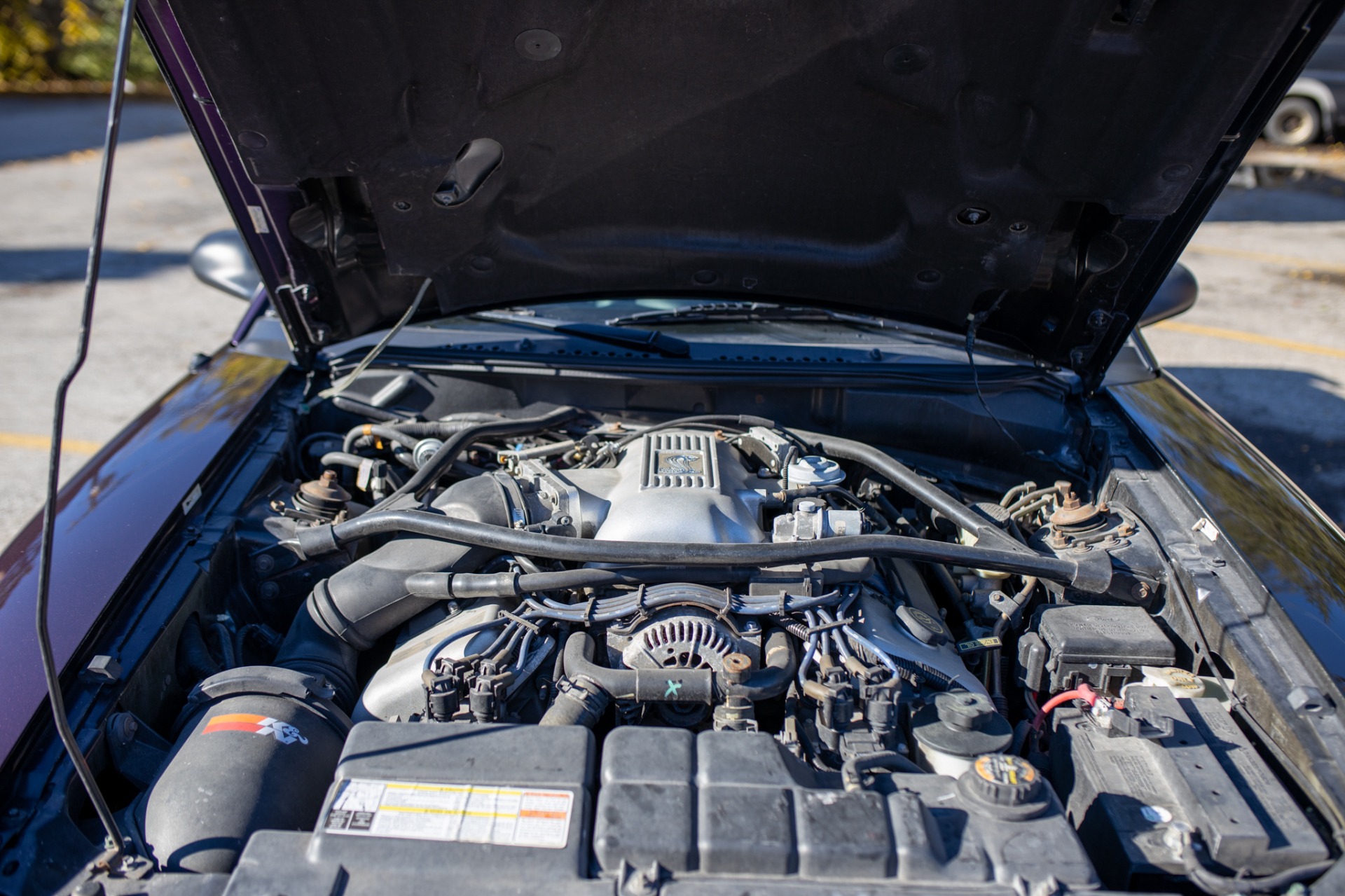 Used 1996 Ford Mustang SVT Cobra | St. Petersburg, FL