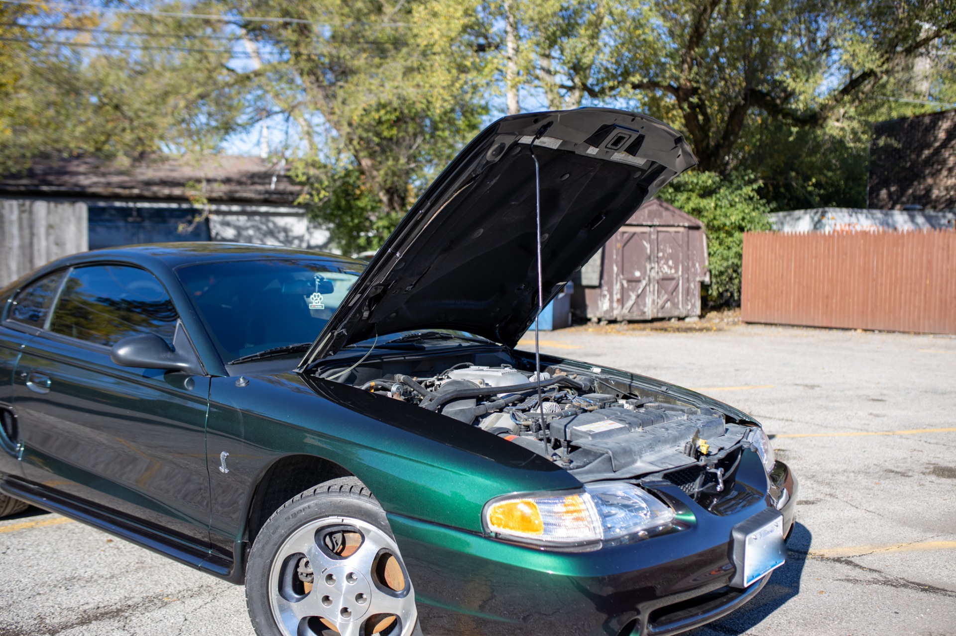 Used 1996 Ford Mustang SVT Cobra | St. Petersburg, FL