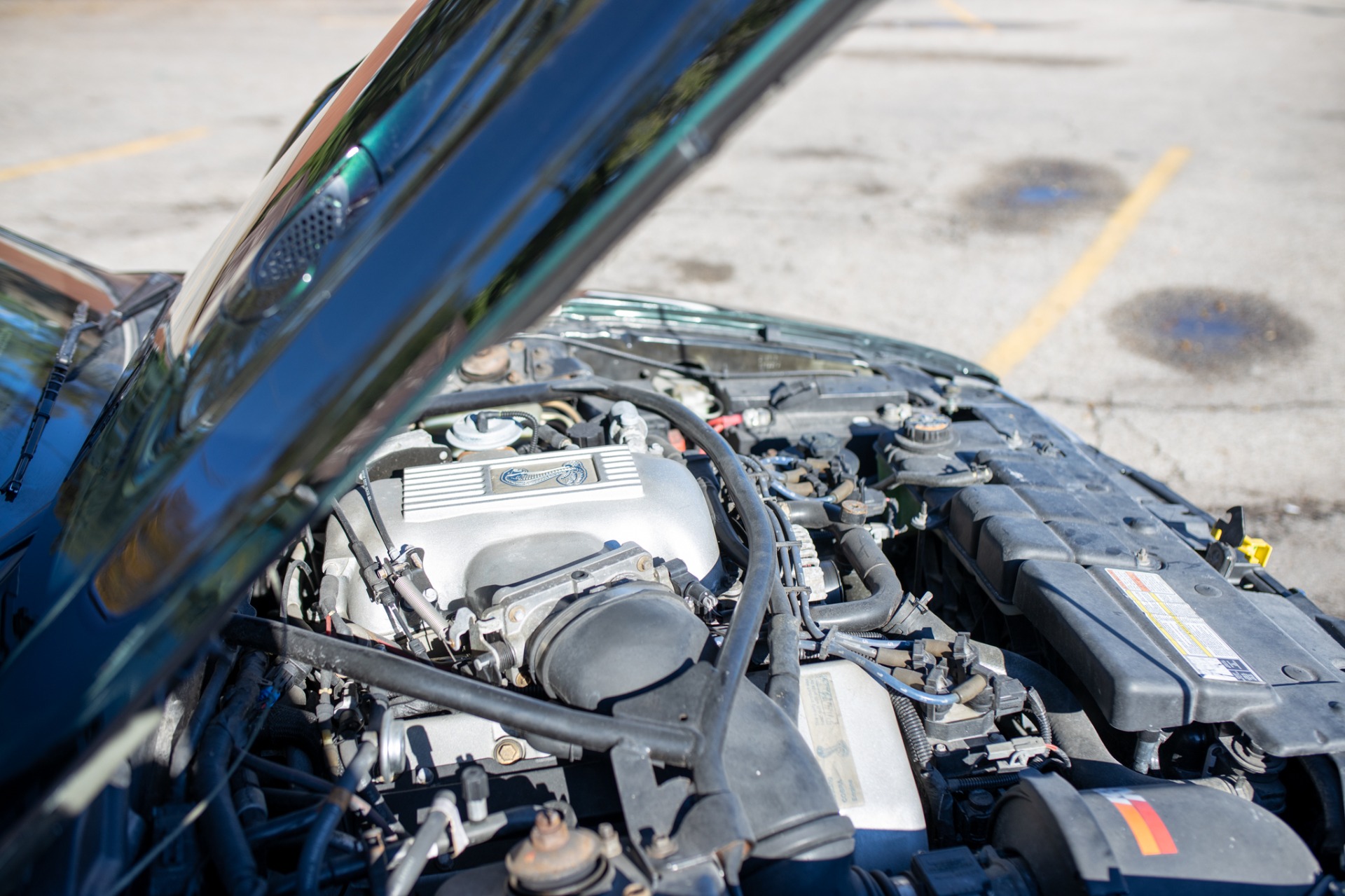 Used 1996 Ford Mustang SVT Cobra | St. Petersburg, FL