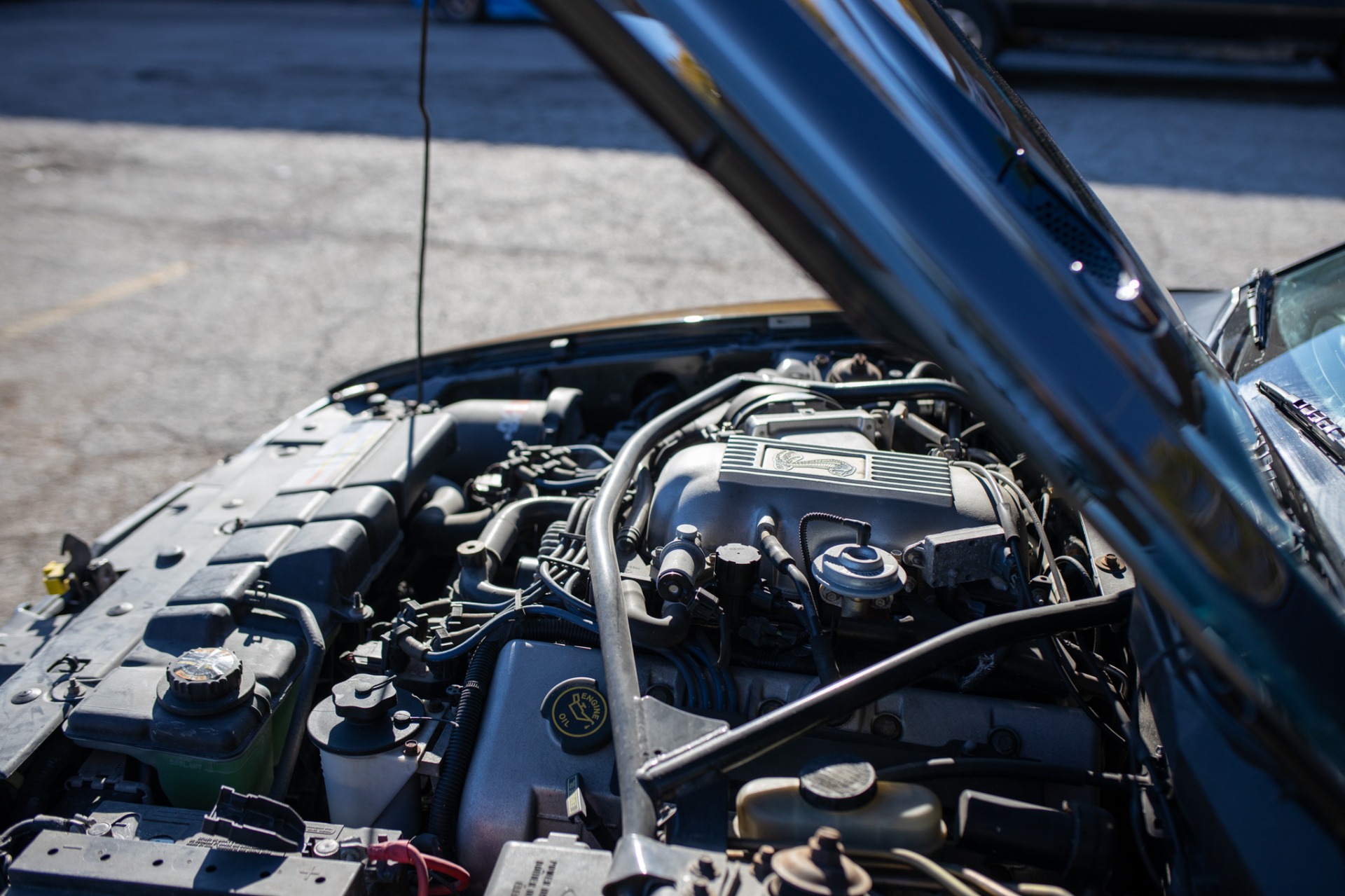 Used 1996 Ford Mustang SVT Cobra | St. Petersburg, FL