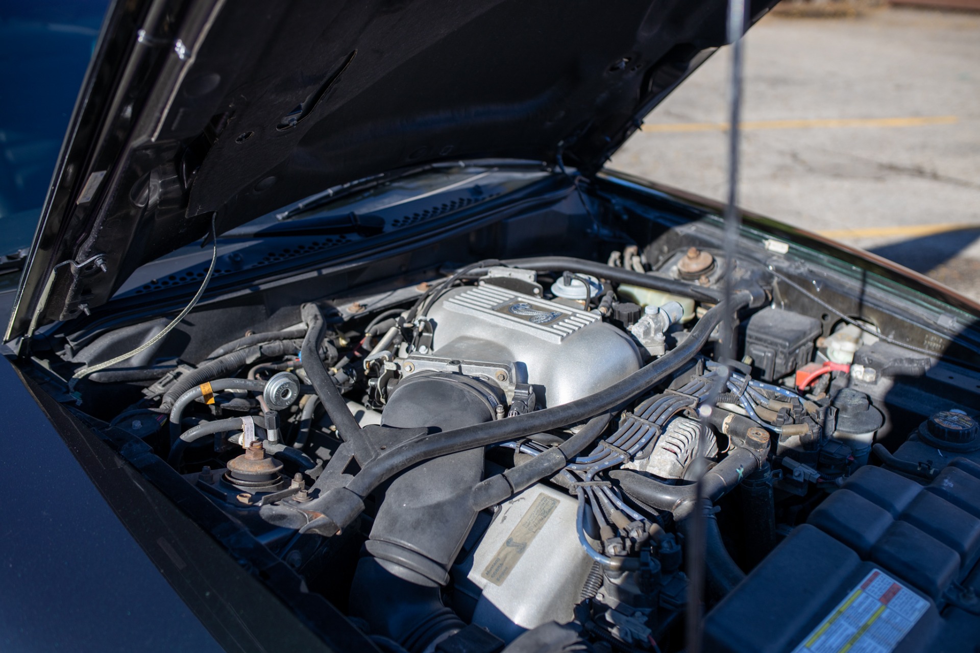 Used 1996 Ford Mustang SVT Cobra | St. Petersburg, FL