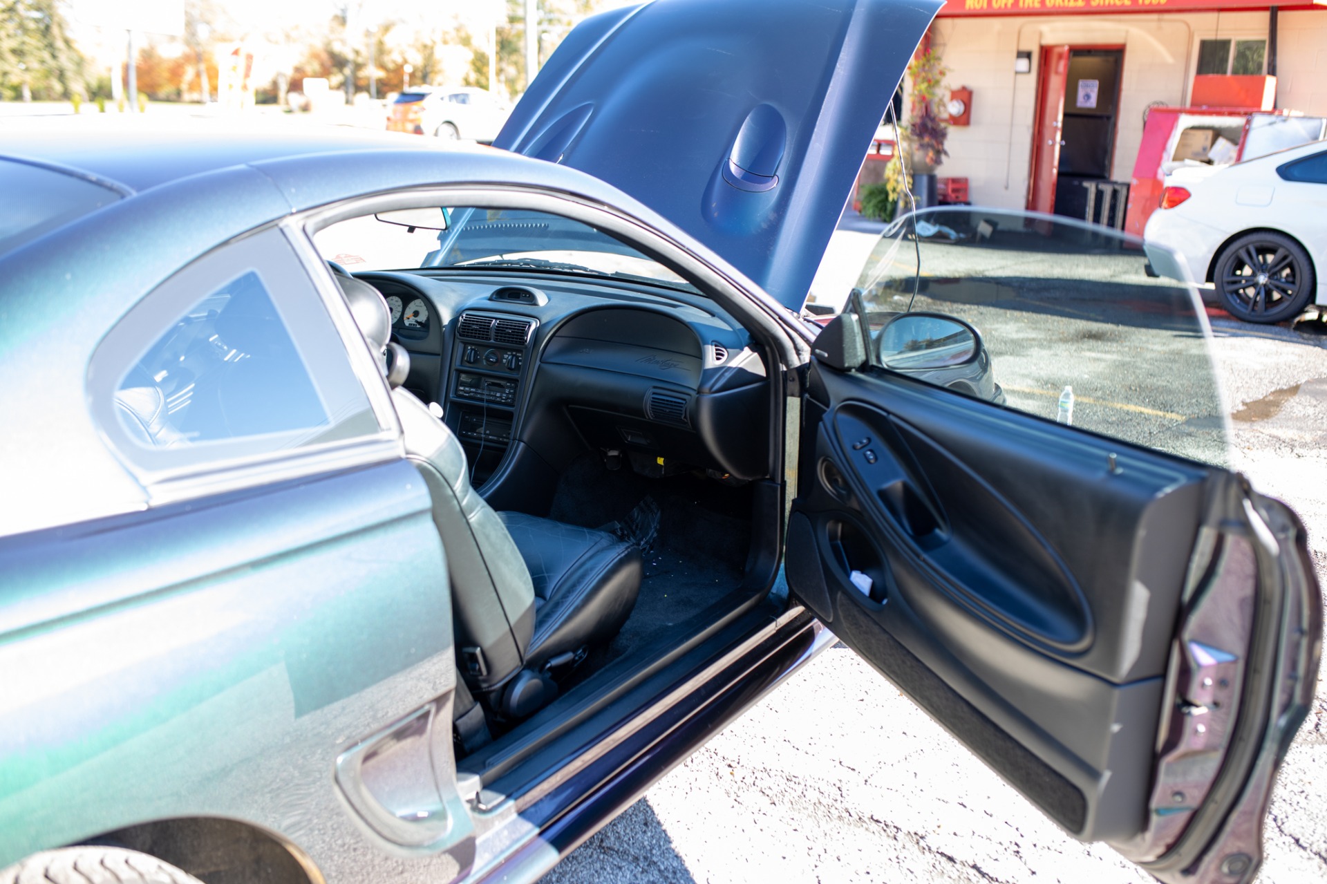 Used 1996 Ford Mustang SVT Cobra | St. Petersburg, FL