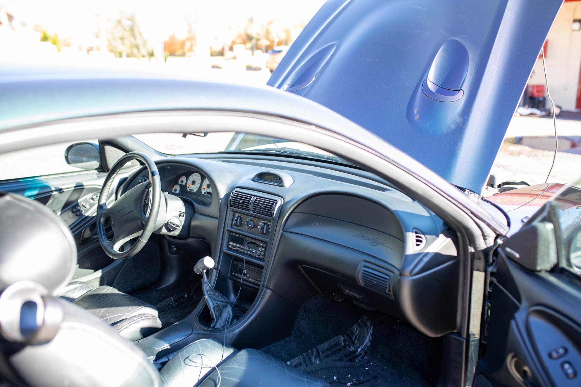 Used 1996 Ford Mustang SVT Cobra | St. Petersburg, FL