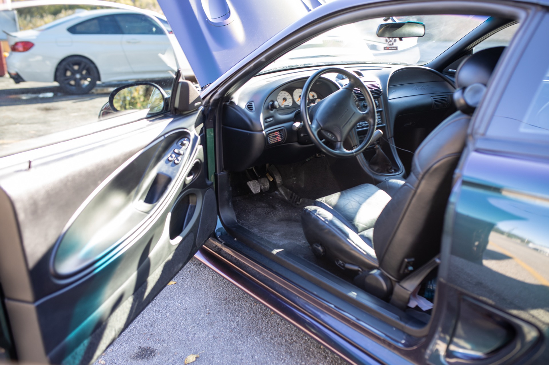 Used 1996 Ford Mustang SVT Cobra | St. Petersburg, FL