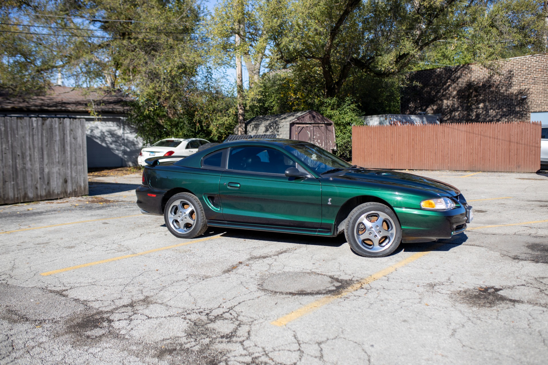 Used 1996 Ford Mustang SVT Cobra | St. Petersburg, FL