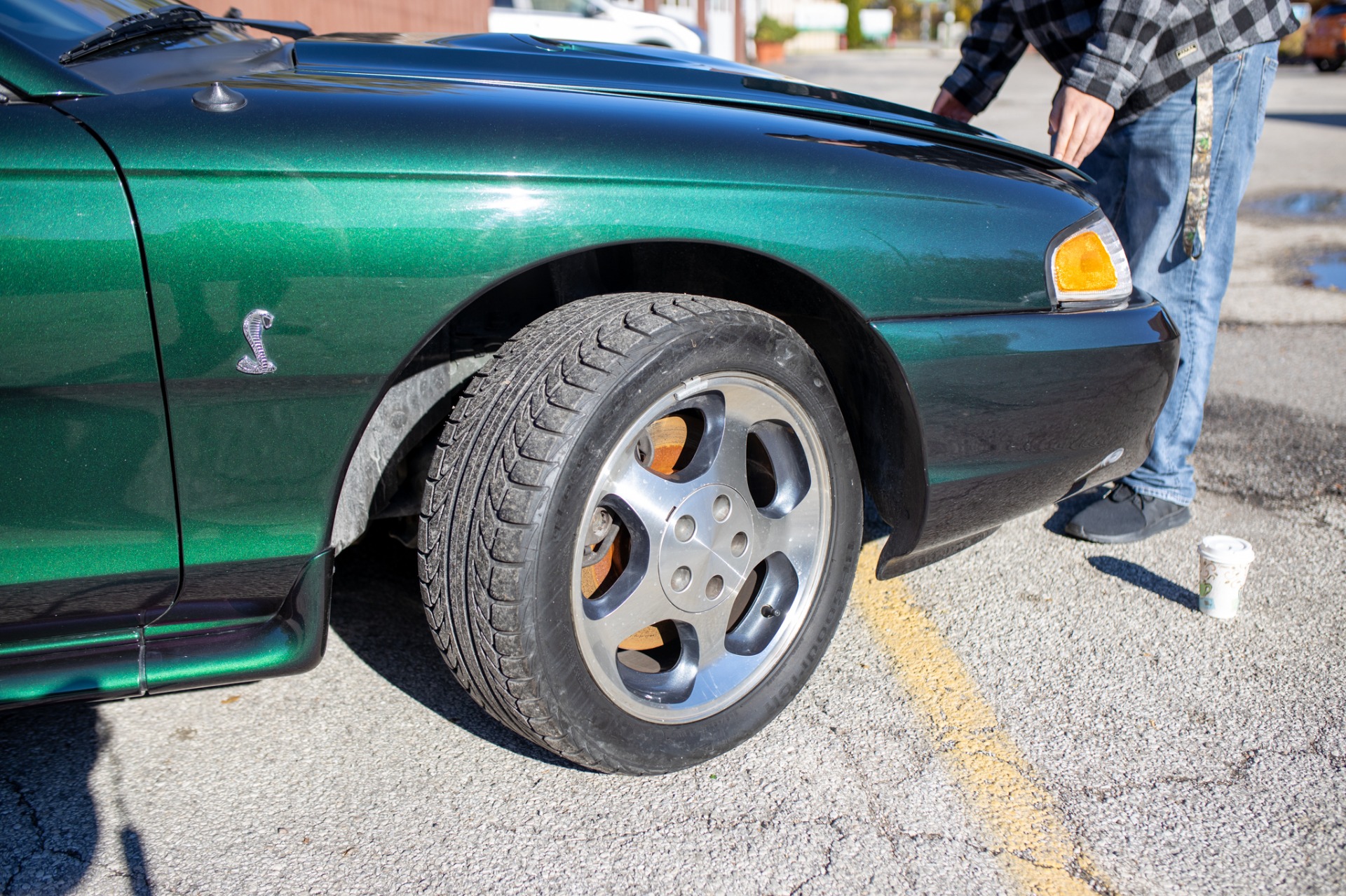 Used 1996 Ford Mustang SVT Cobra | St. Petersburg, FL
