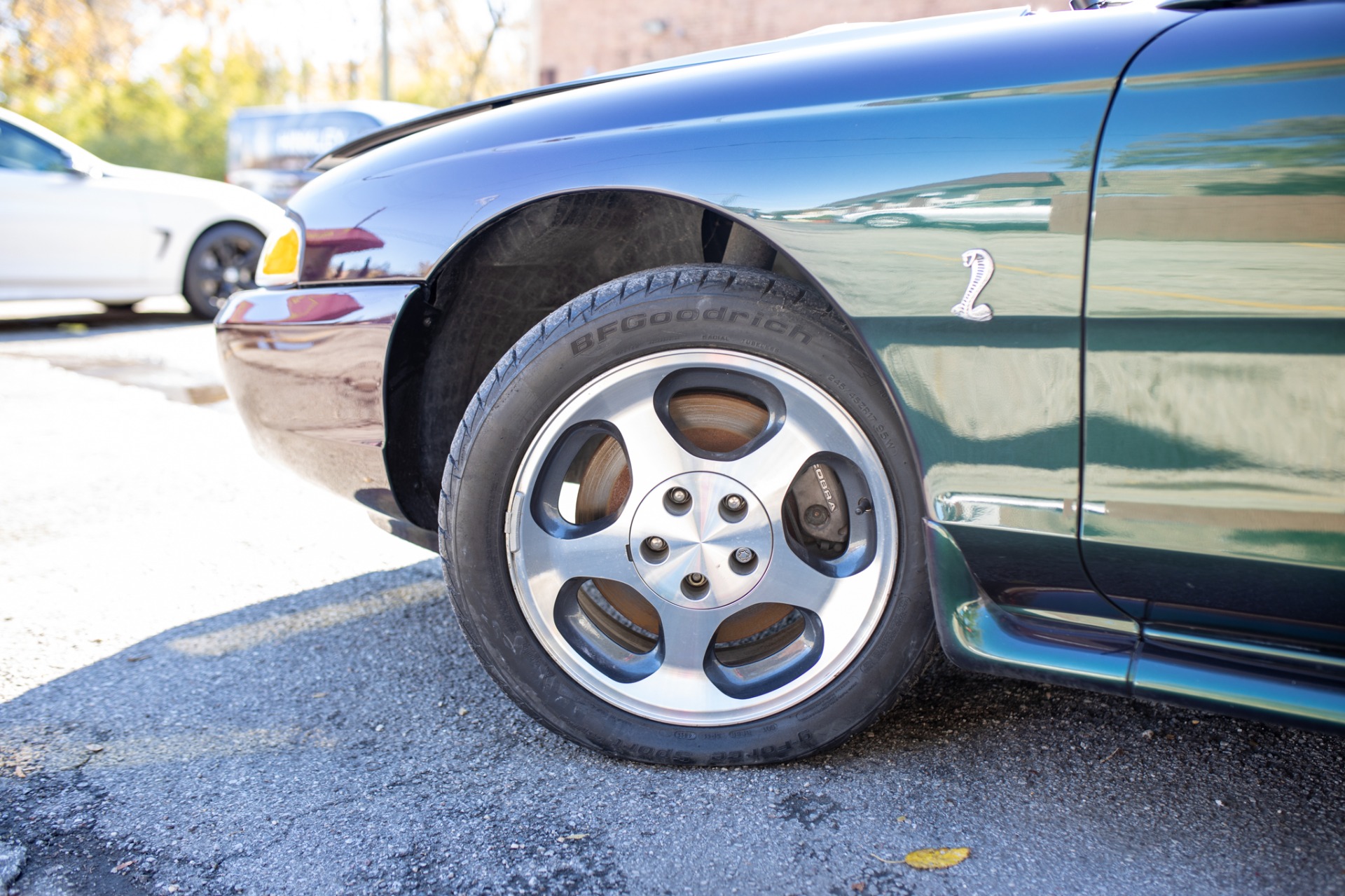 Used 1996 Ford Mustang SVT Cobra | St. Petersburg, FL